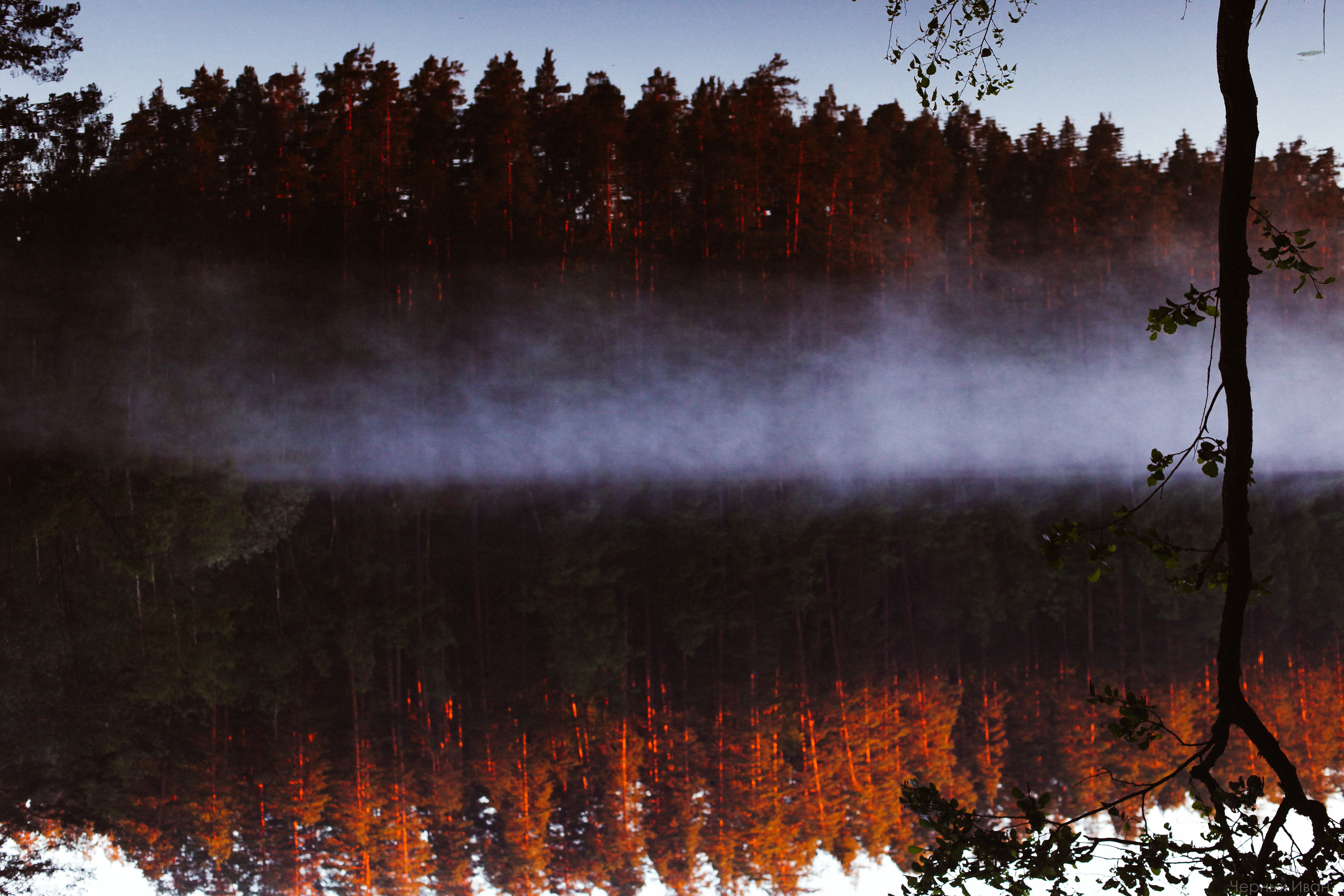 ПЕЙЗАЖИ. Стрит-фотография, полная абсурда, идиотизма и красоты