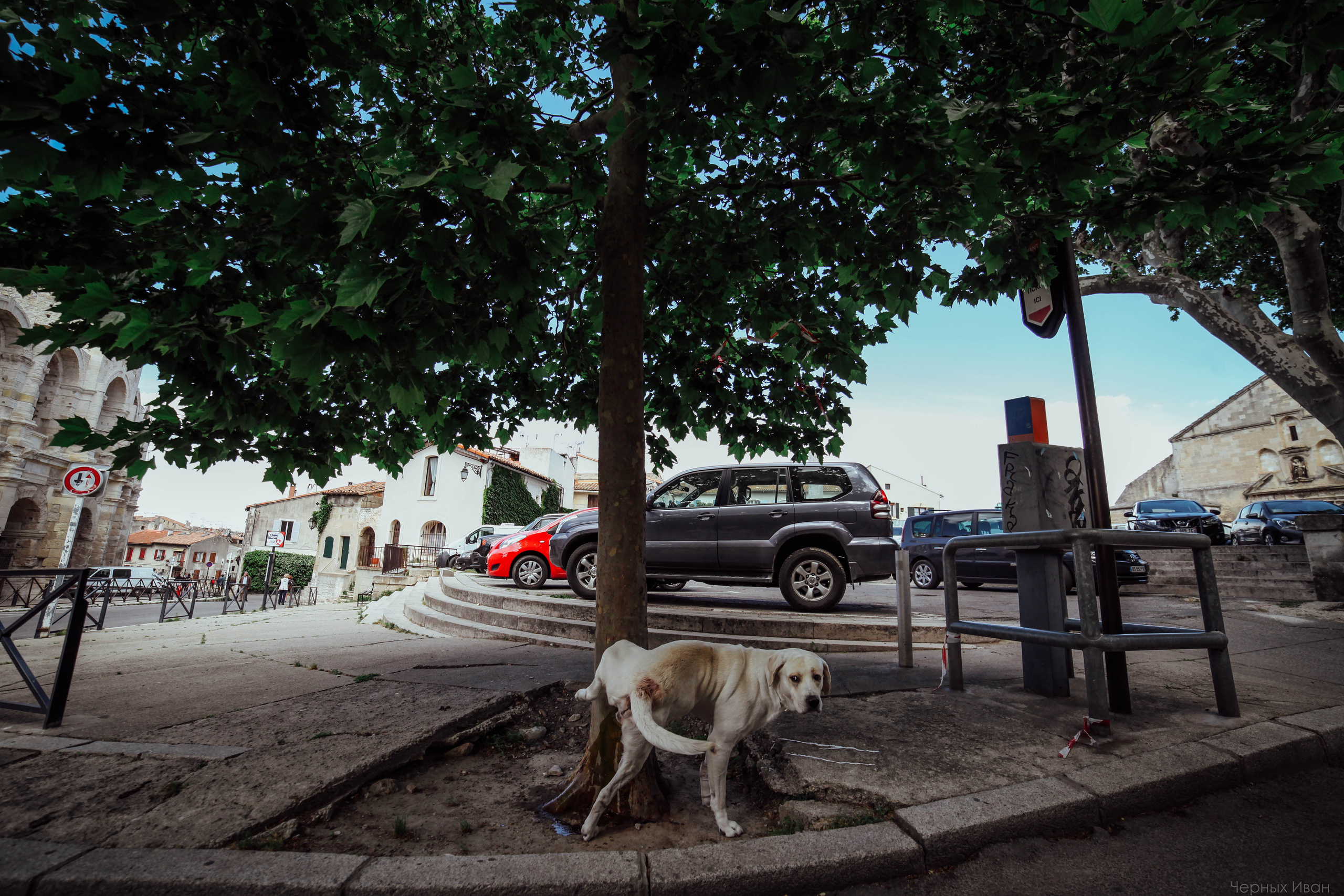 ФРАНЦИЯ. Стрит-фотография, полная абсурда, идиотизма и красоты