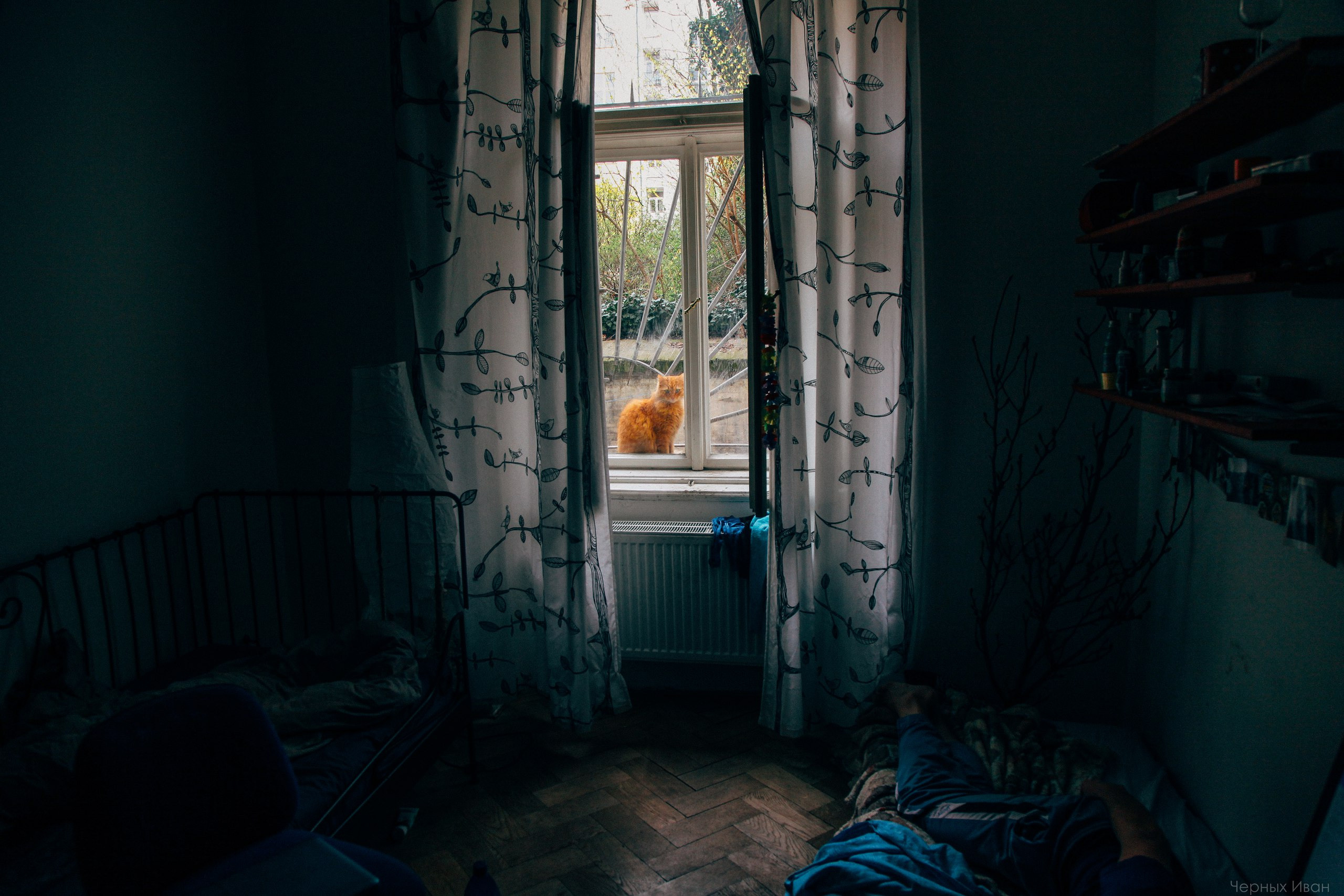 BEST OF. Стрит-фотография, полная абсурда, идиотизма и красоты