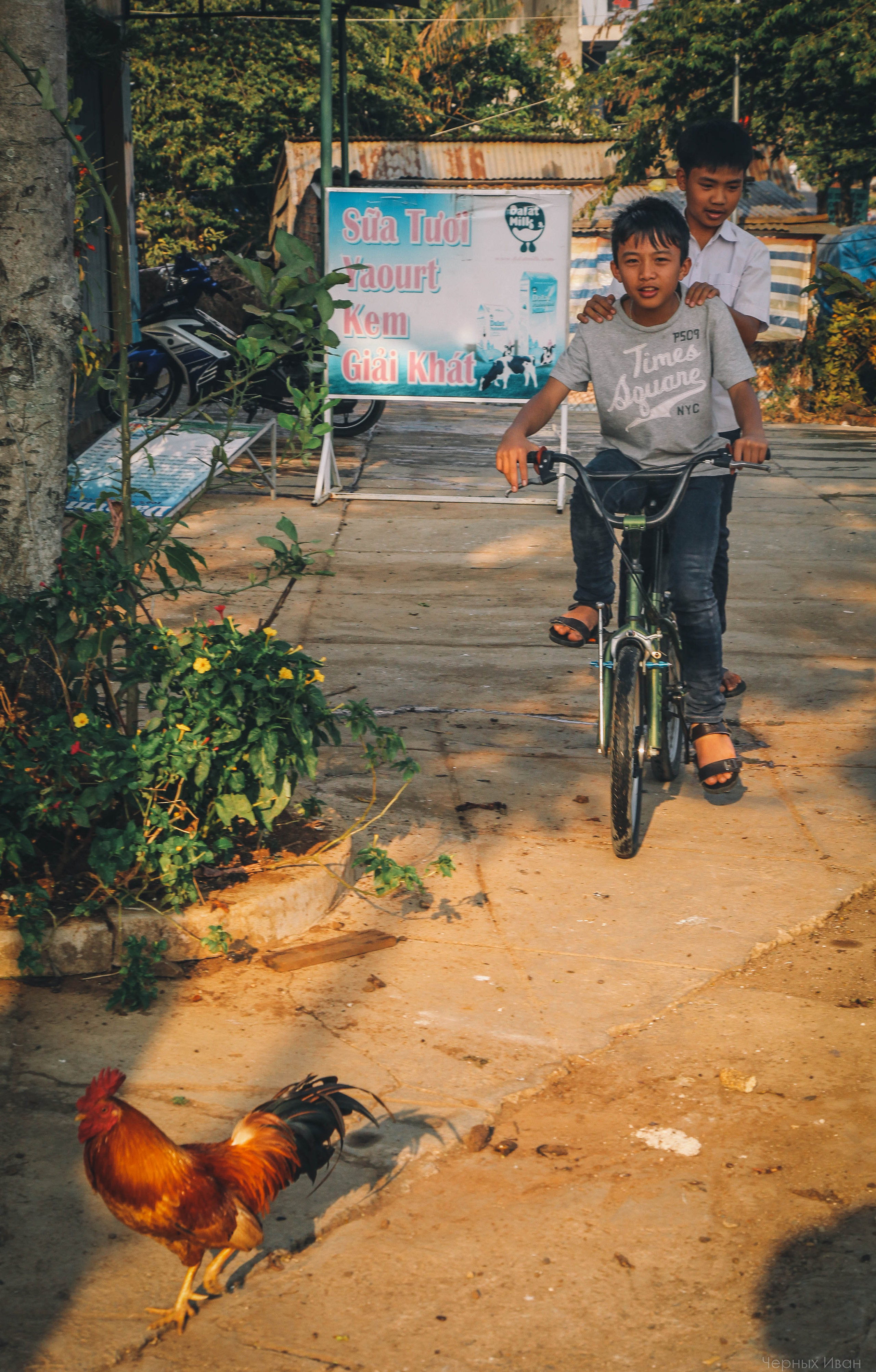 ВЬЕТНАМ. Стрит-фотография, полная абсурда, идиотизма и красоты