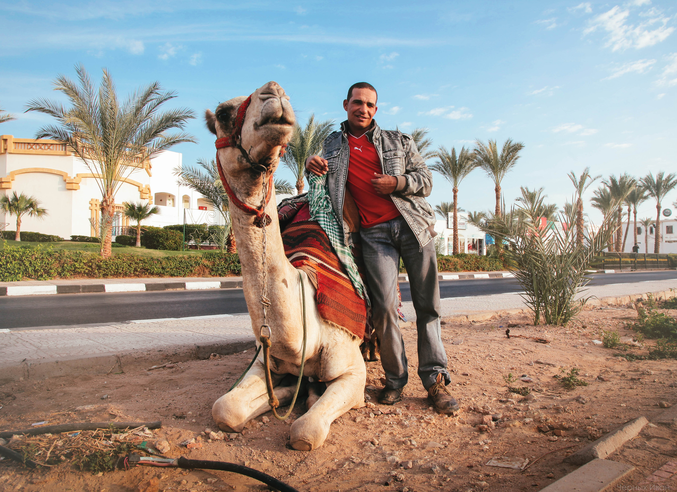 ЕГИПЕТ. Стрит-фотография, полная абсурда, идиотизма и красоты