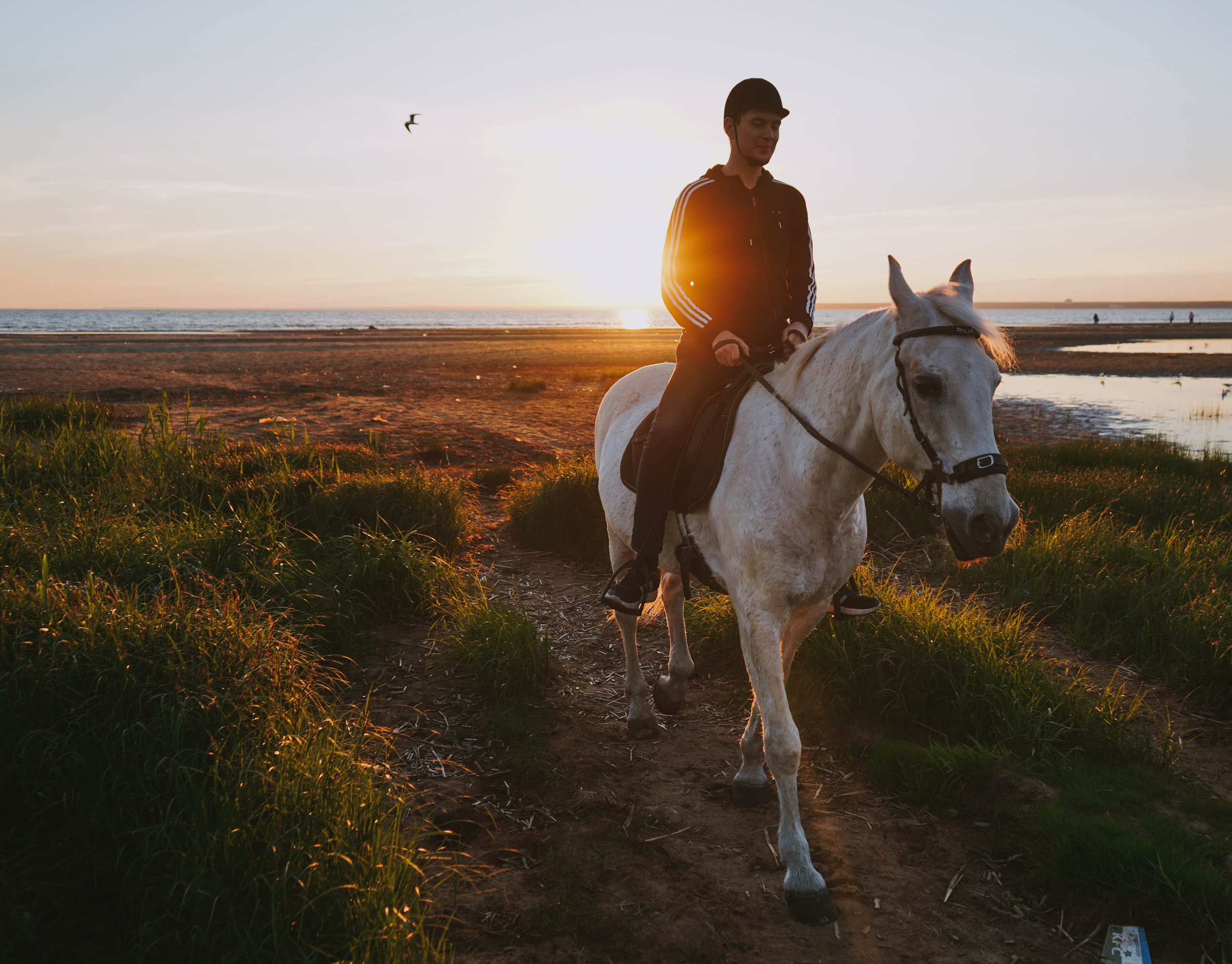 2018. Стрит-фотография, полная абсурда, идиотизма и красоты