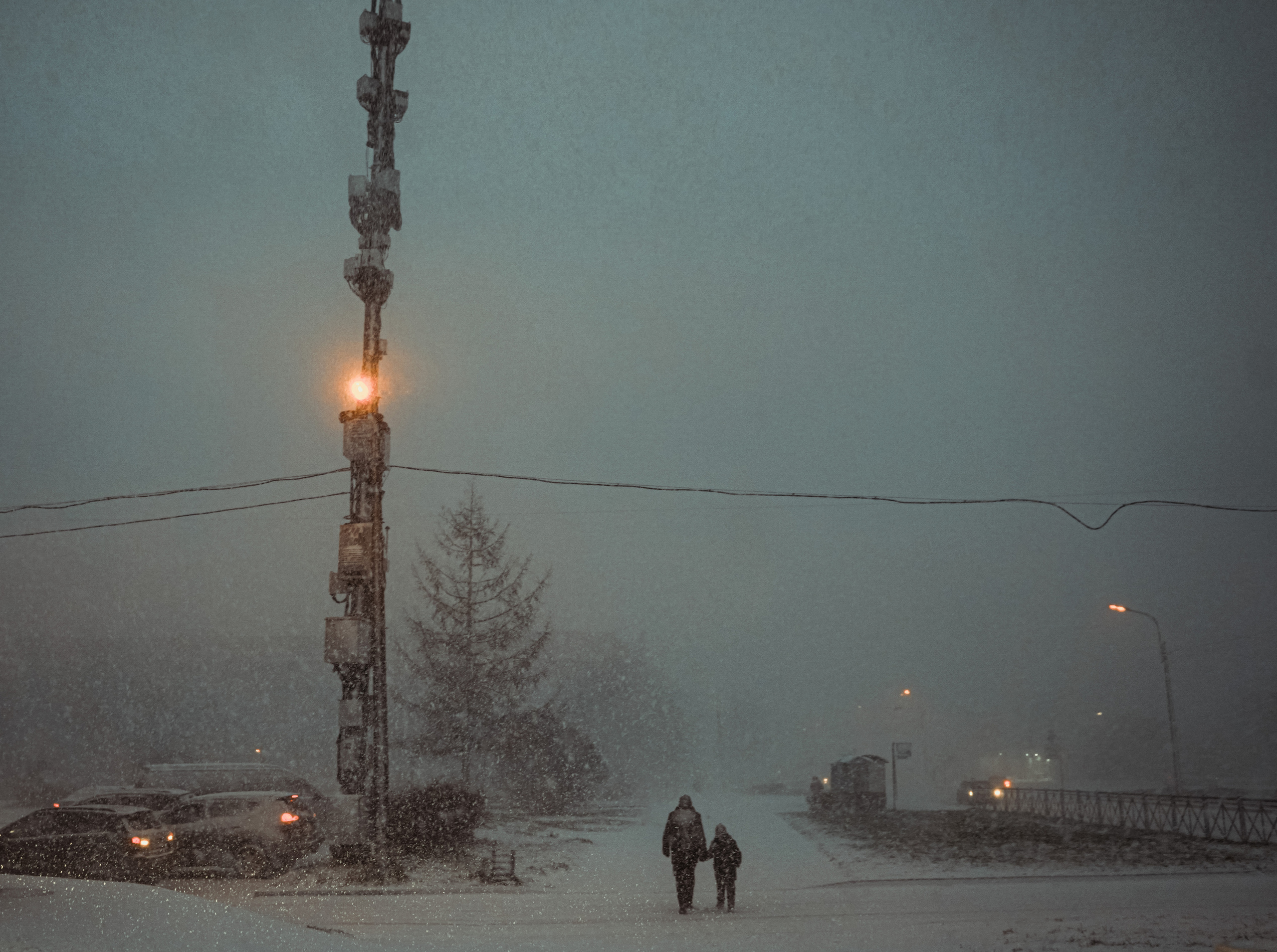 2020. Стрит-фотография, полная абсурда, идиотизма и красоты