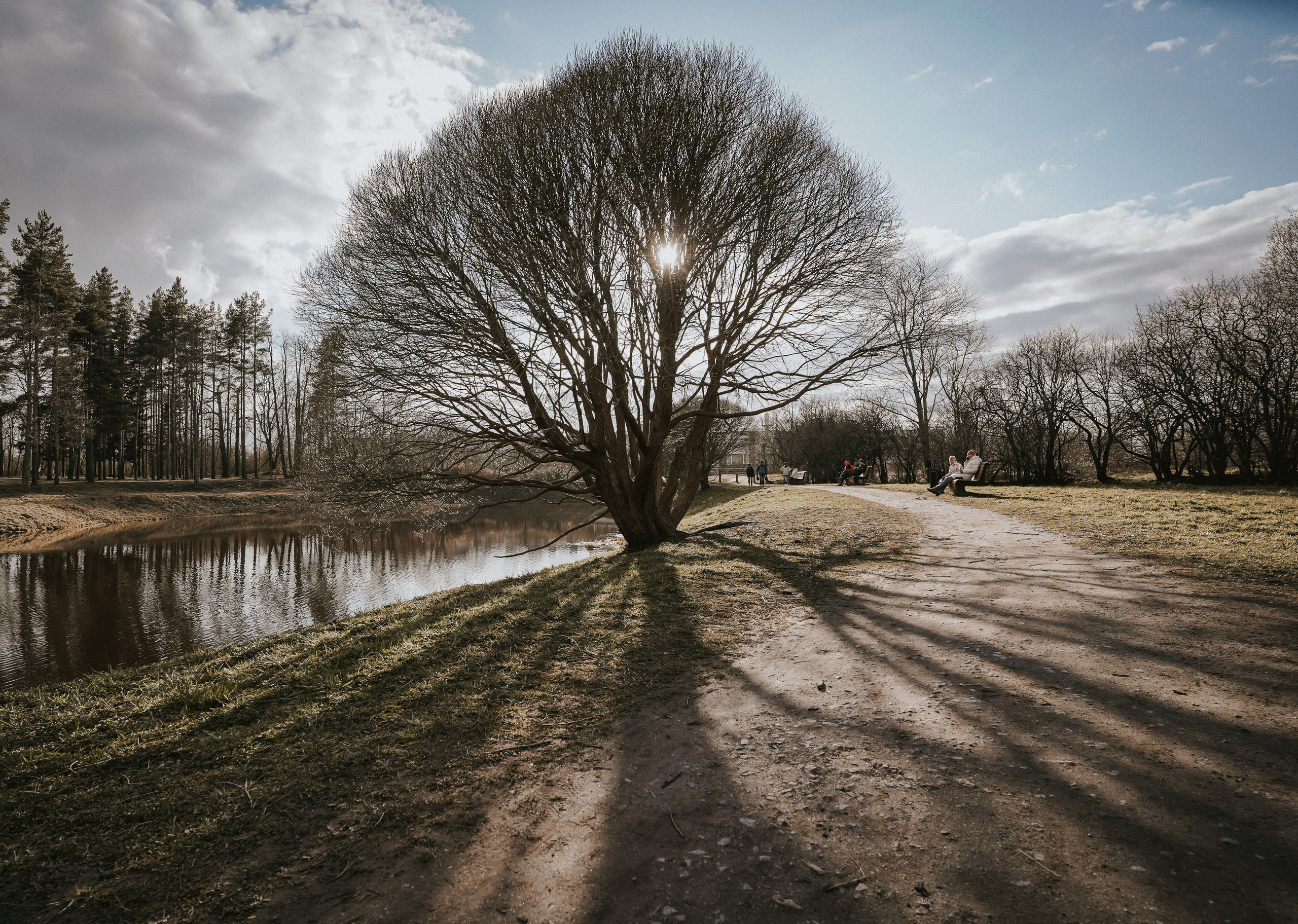 2020. Стрит-фотография, полная абсурда, идиотизма и красоты