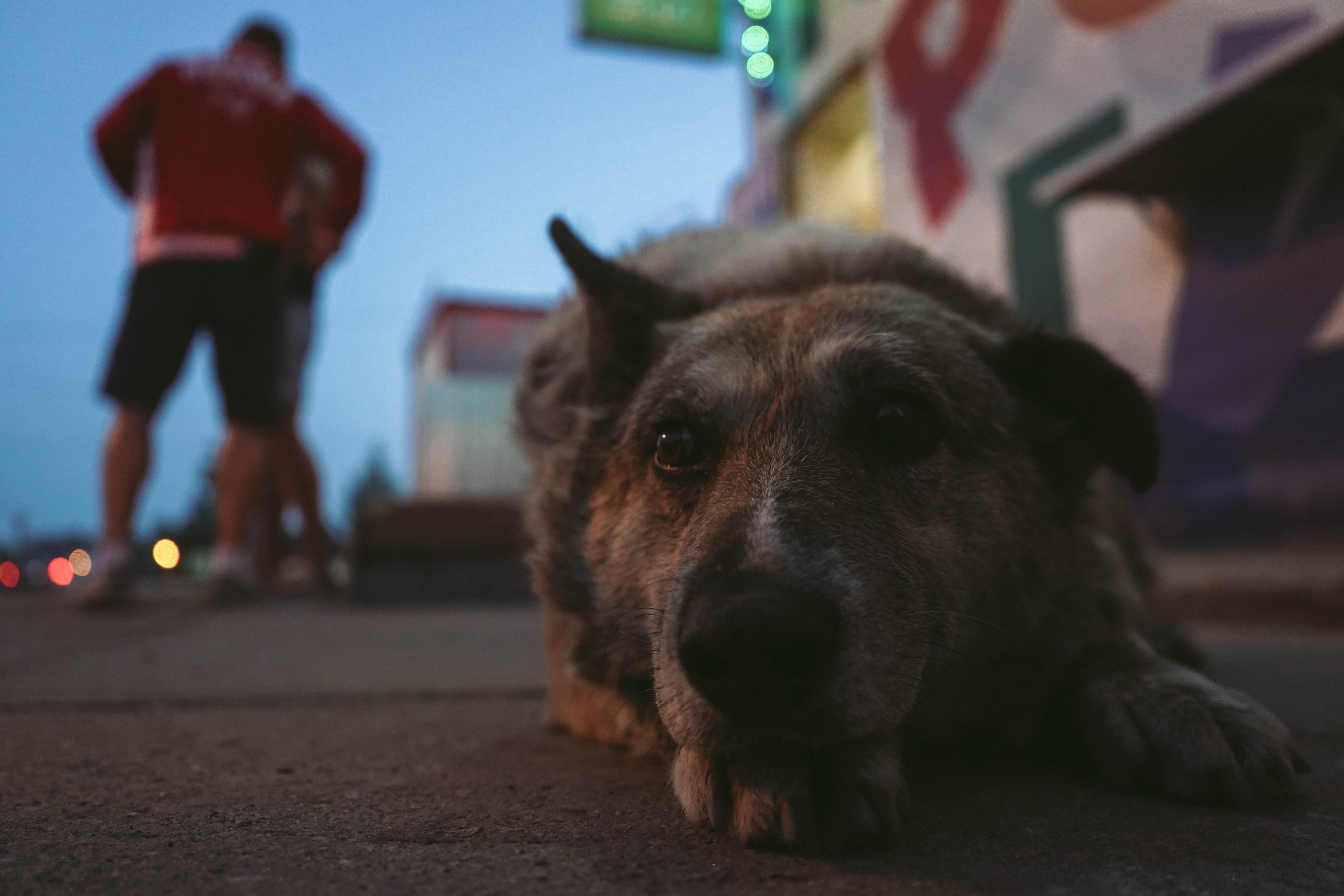 2018. Стрит-фотография, полная абсурда, идиотизма и красоты