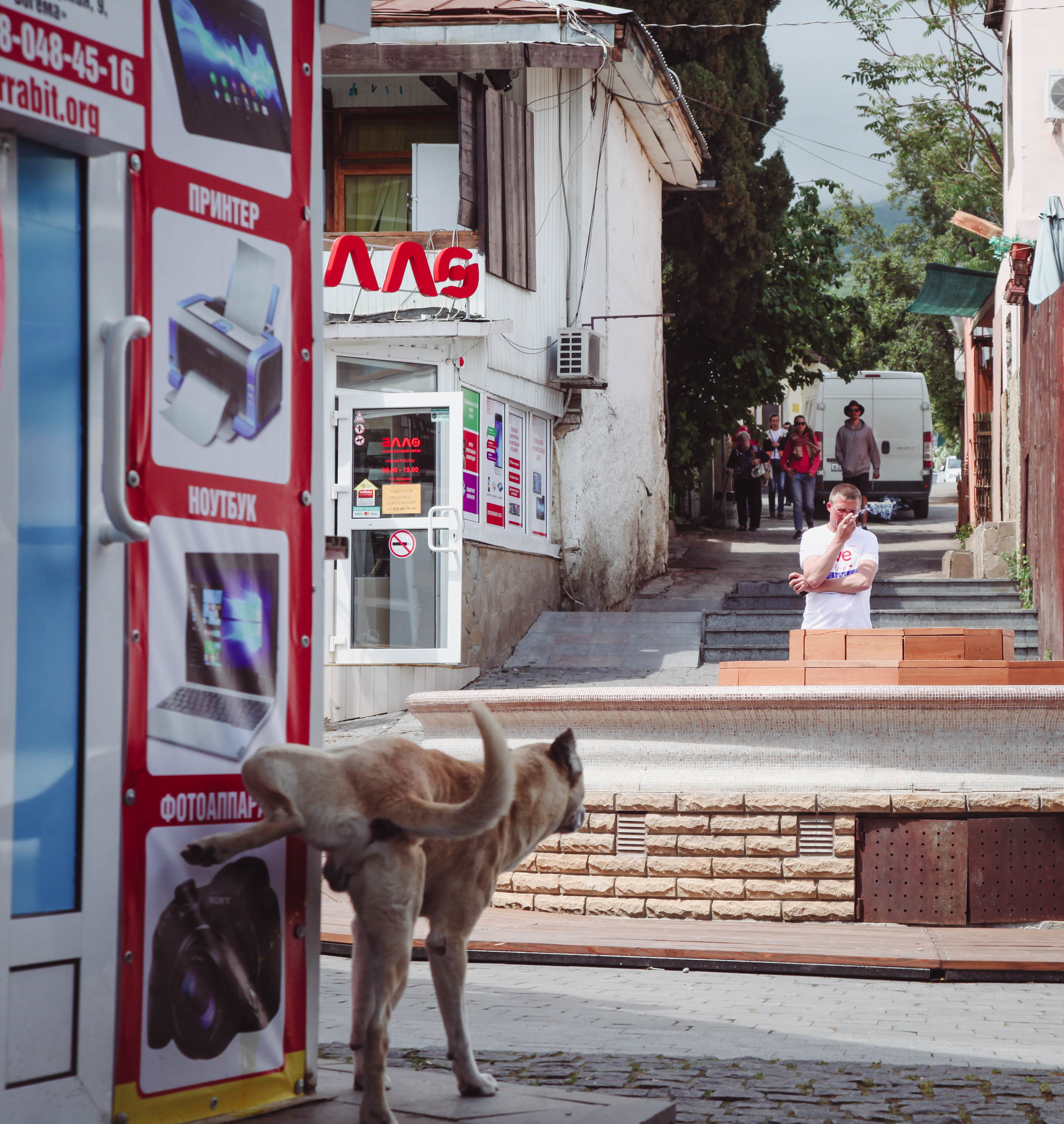 BEST OF. Стрит-фотография, полная абсурда, идиотизма и красоты