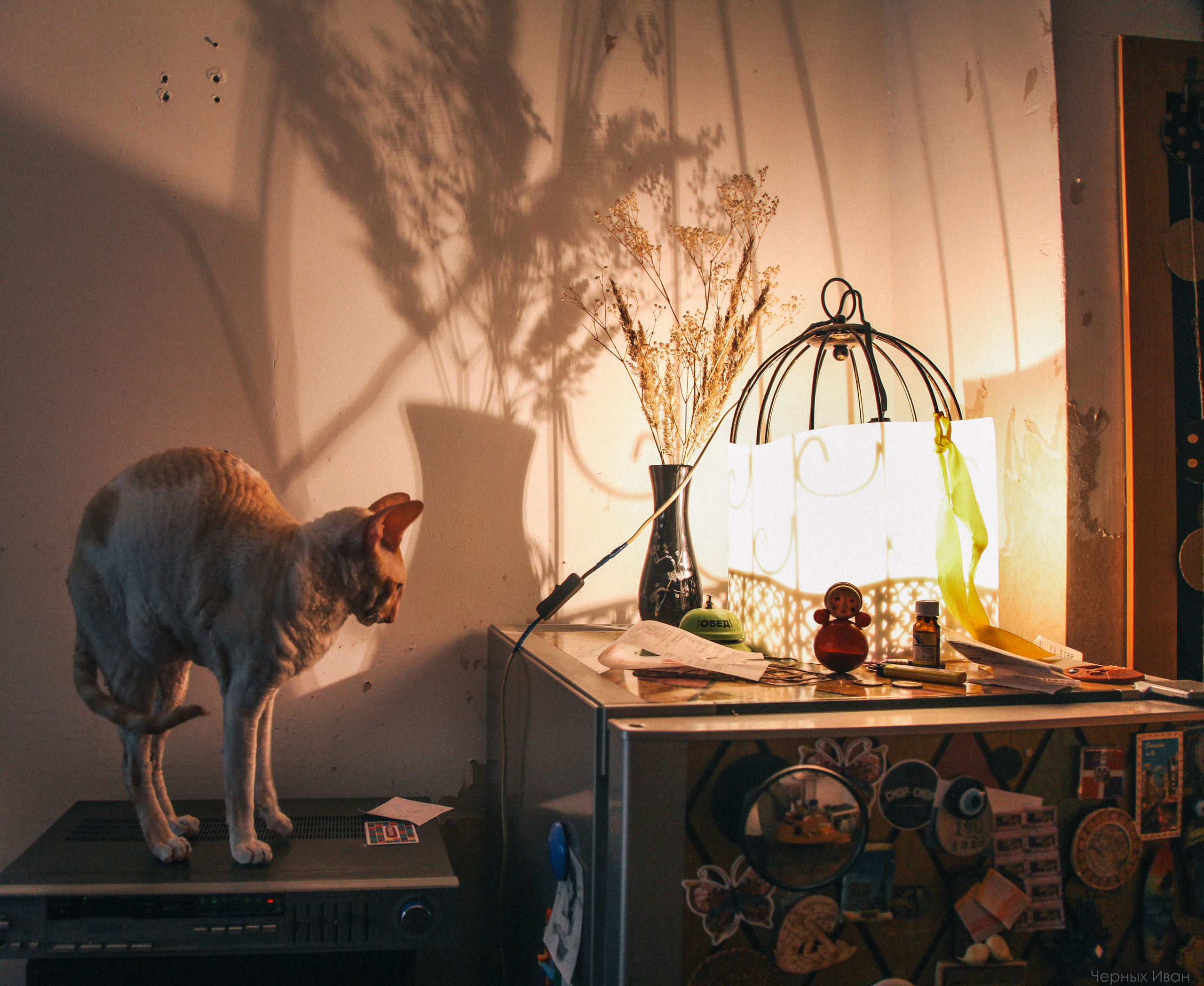 2016. Стрит-фотография, полная абсурда, идиотизма и красоты