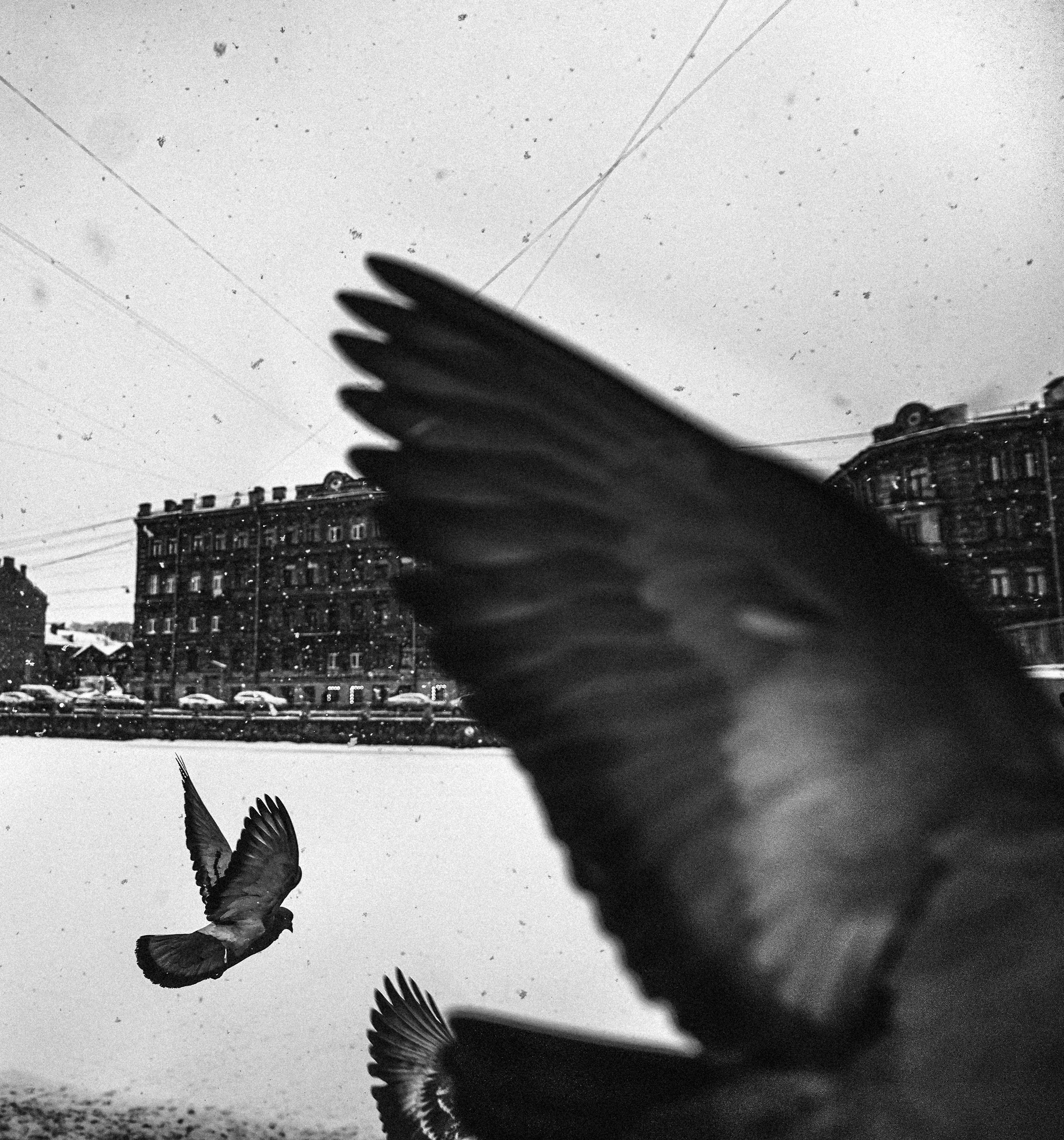 2021. Стрит-фотография, полная абсурда, идиотизма и красоты