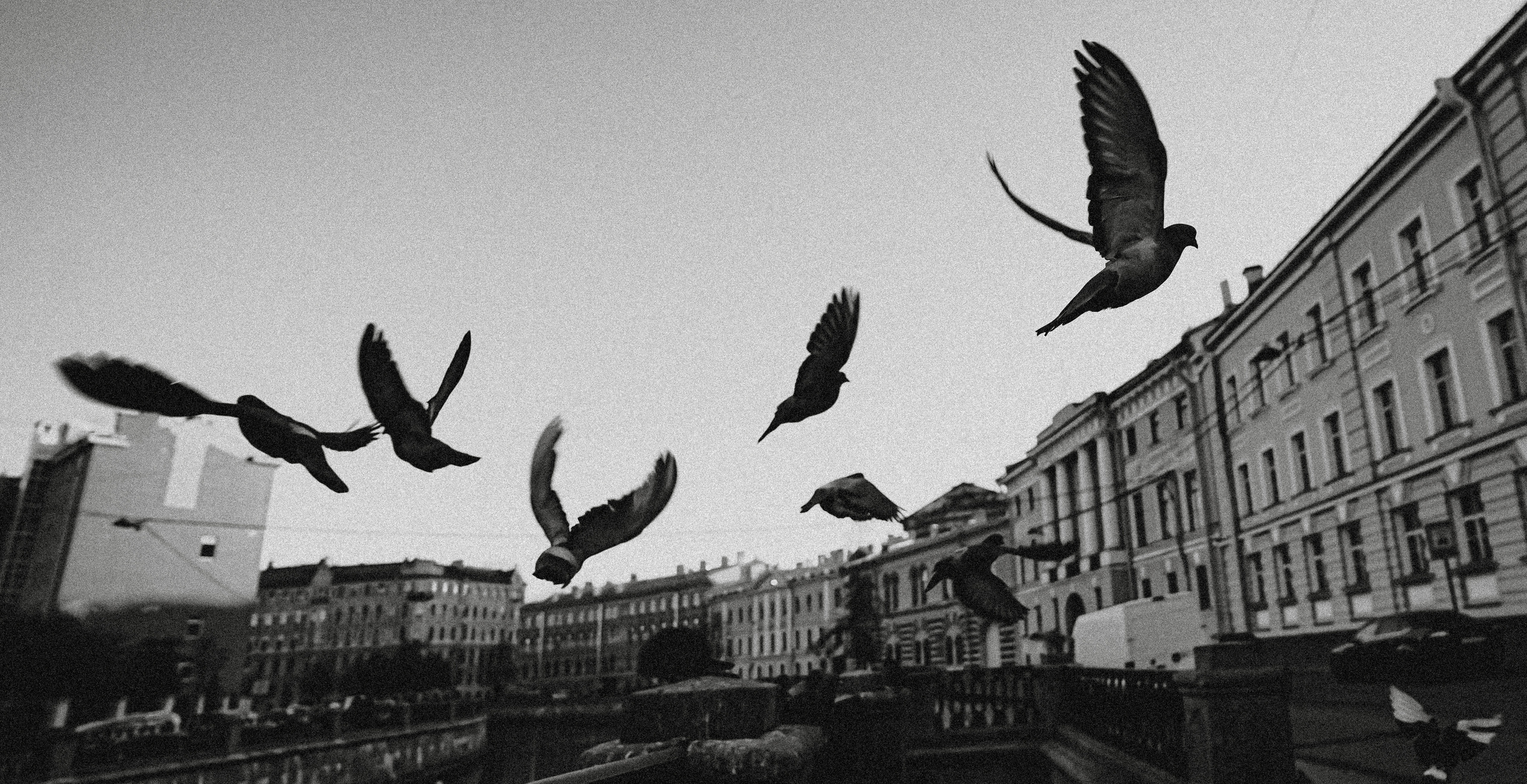 2020. Стрит-фотография, полная абсурда, идиотизма и красоты