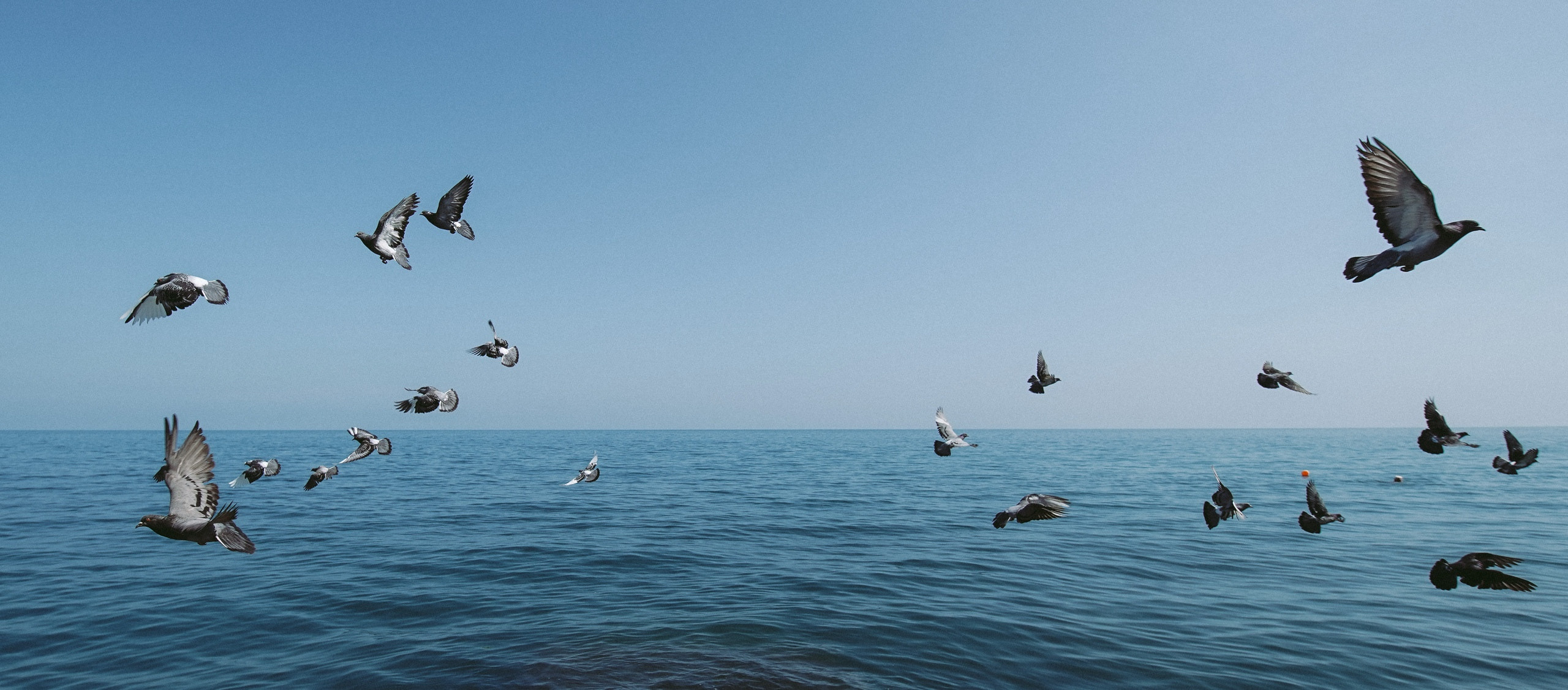 BEST OF. Стрит-фотография, полная абсурда, идиотизма и красоты