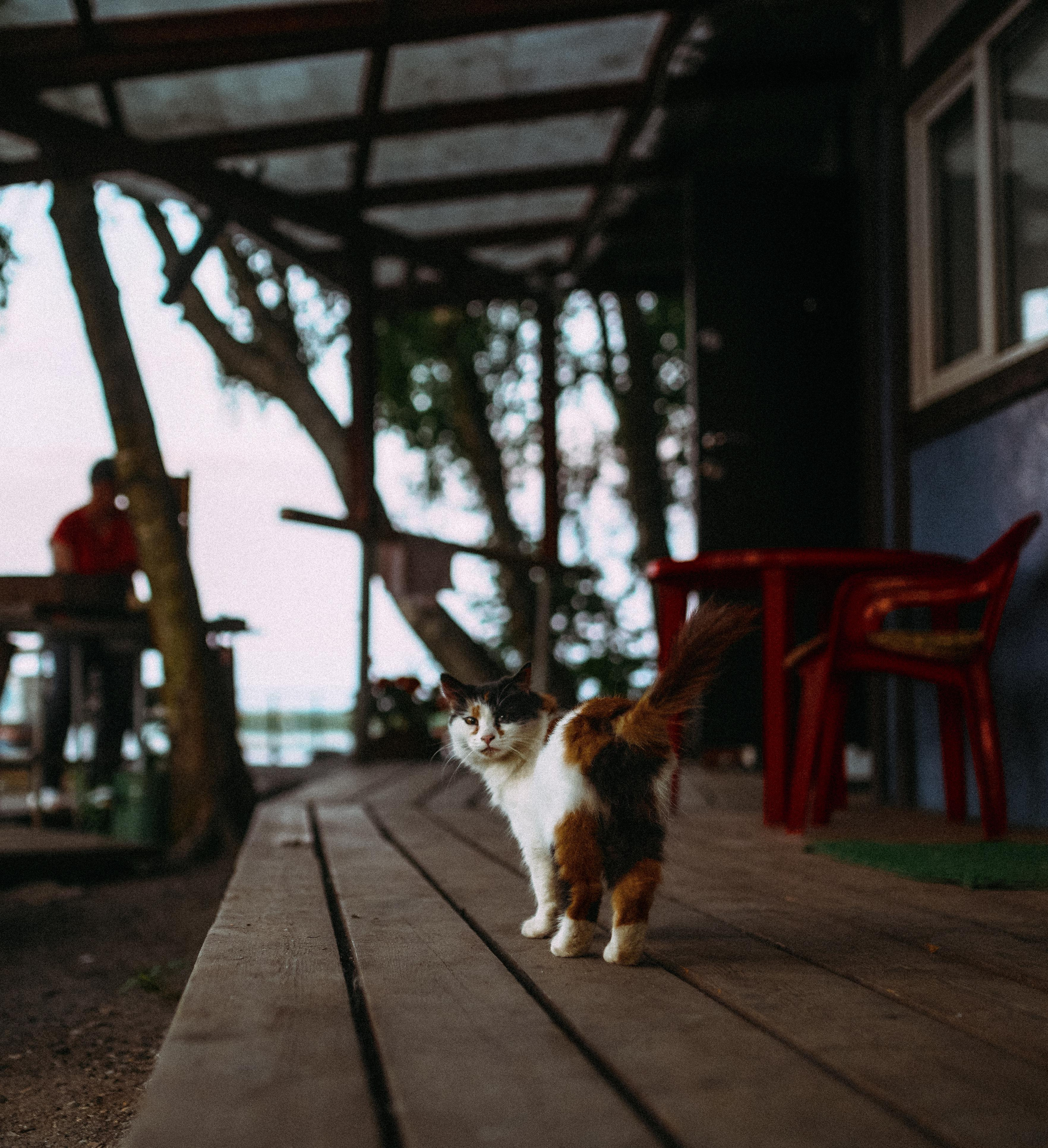 2022. Стрит-фотография, полная абсурда, идиотизма и красоты