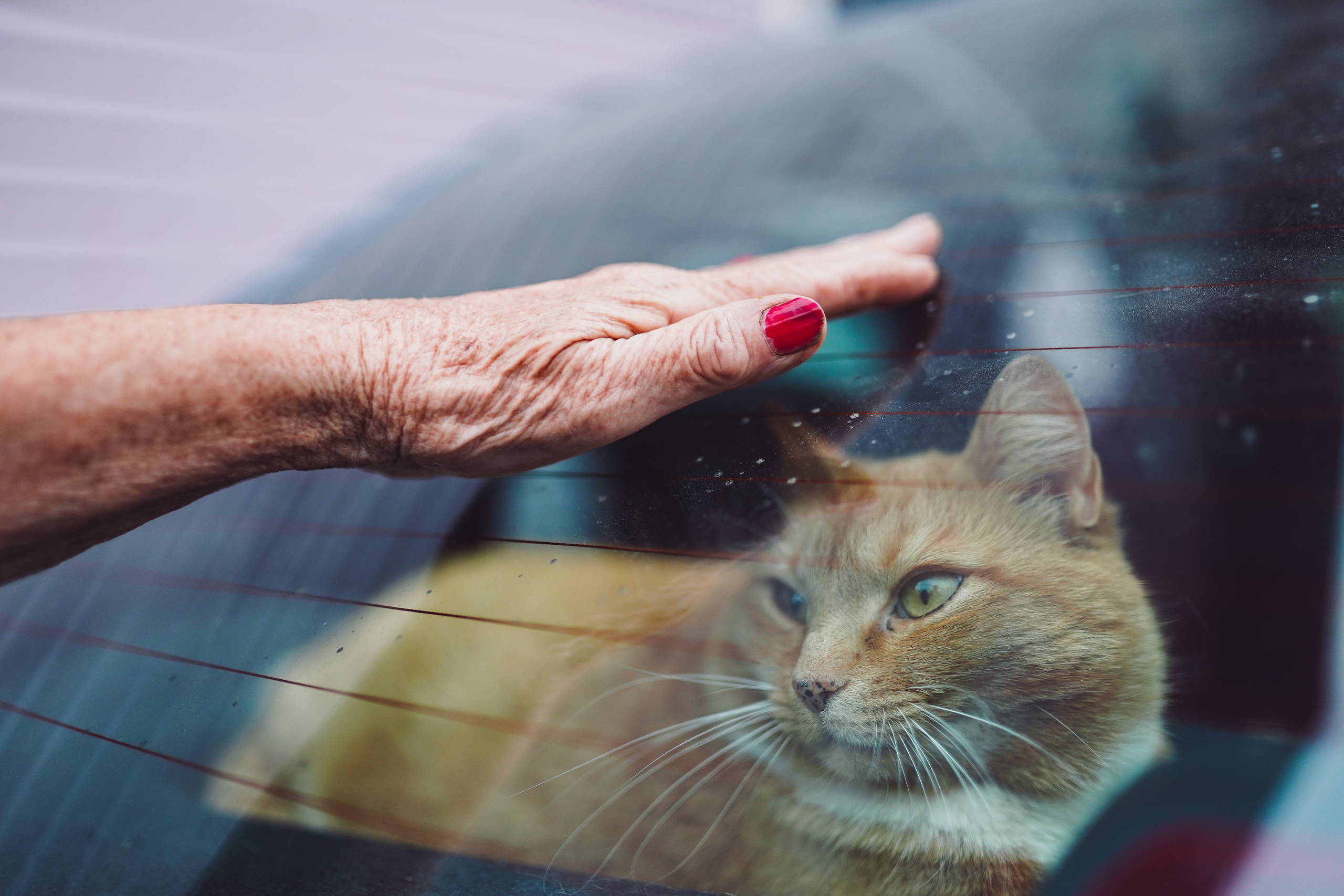 2019. Стрит-фотография, полная абсурда, идиотизма и красоты