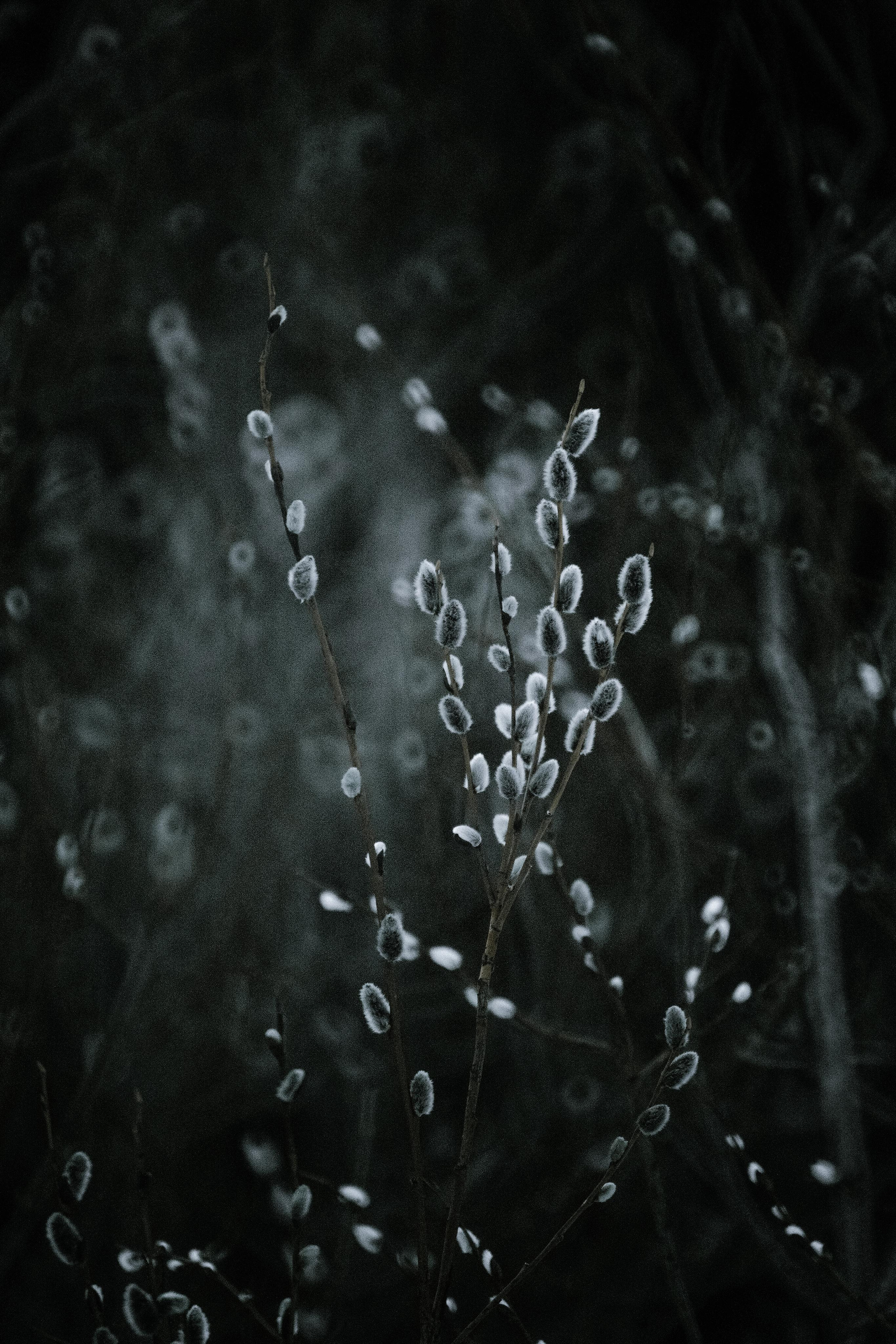 2022. Стрит-фотография, полная абсурда, идиотизма и красоты