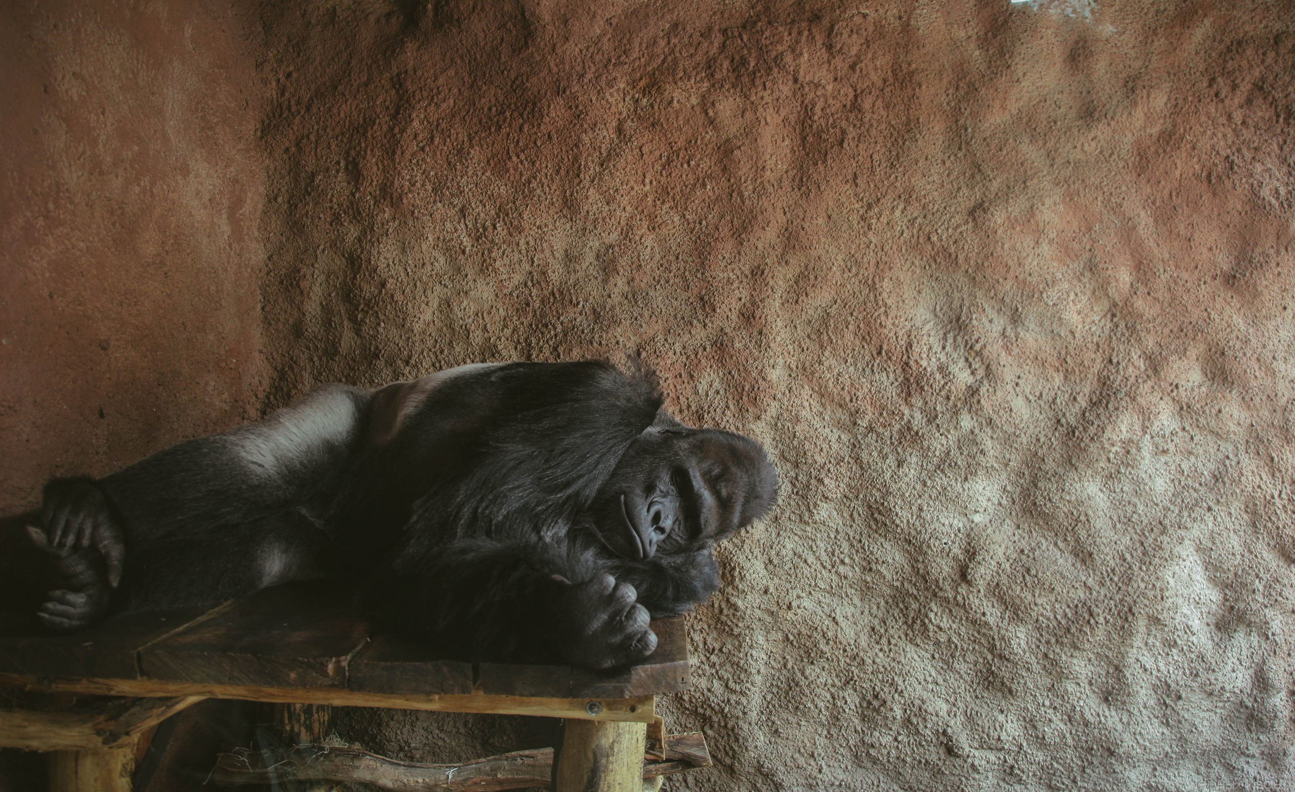 ЧЕХИЯ. Стрит-фотография, полная абсурда, идиотизма и красоты