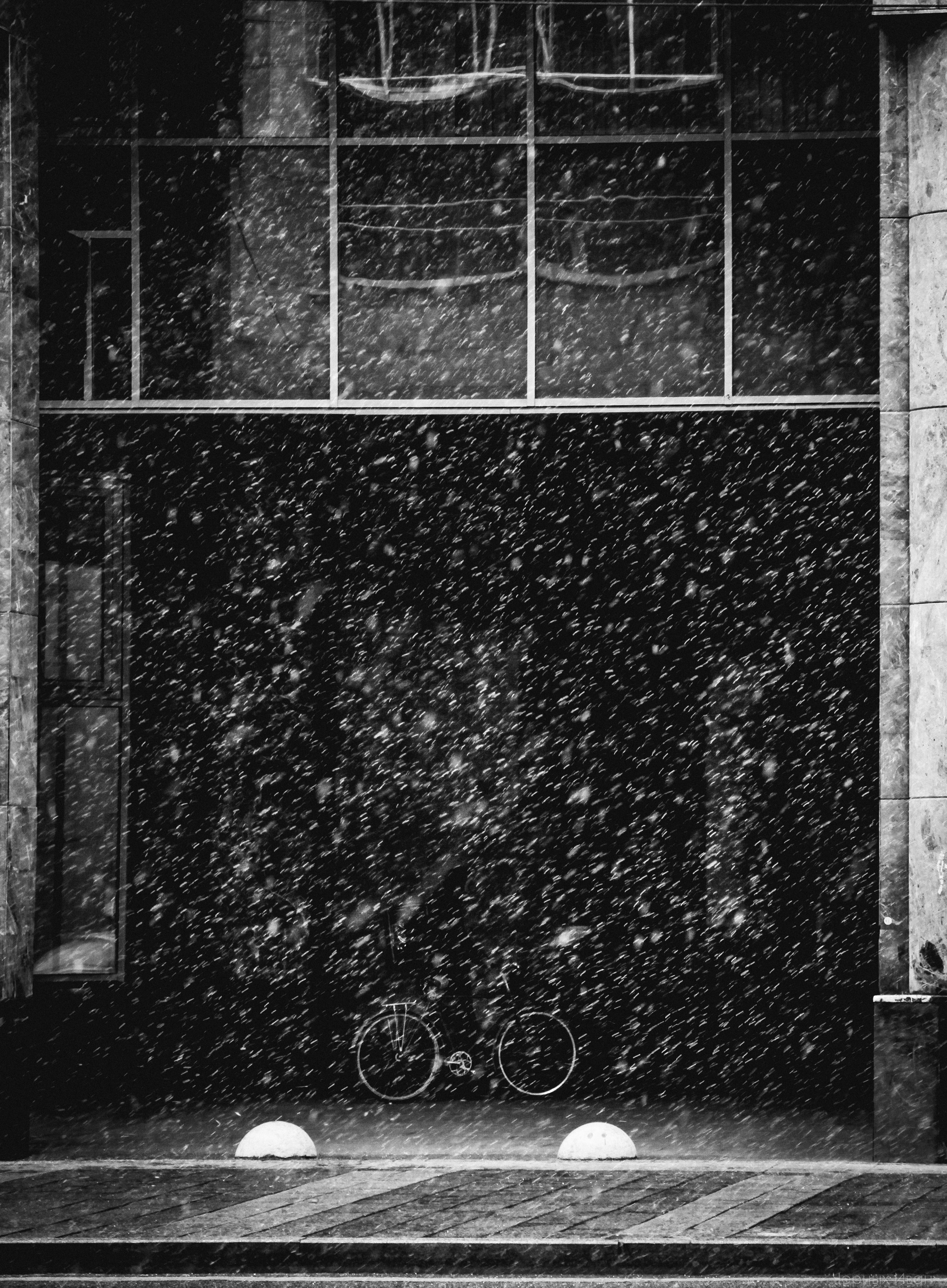 2017. Стрит-фотография, полная абсурда, идиотизма и красоты