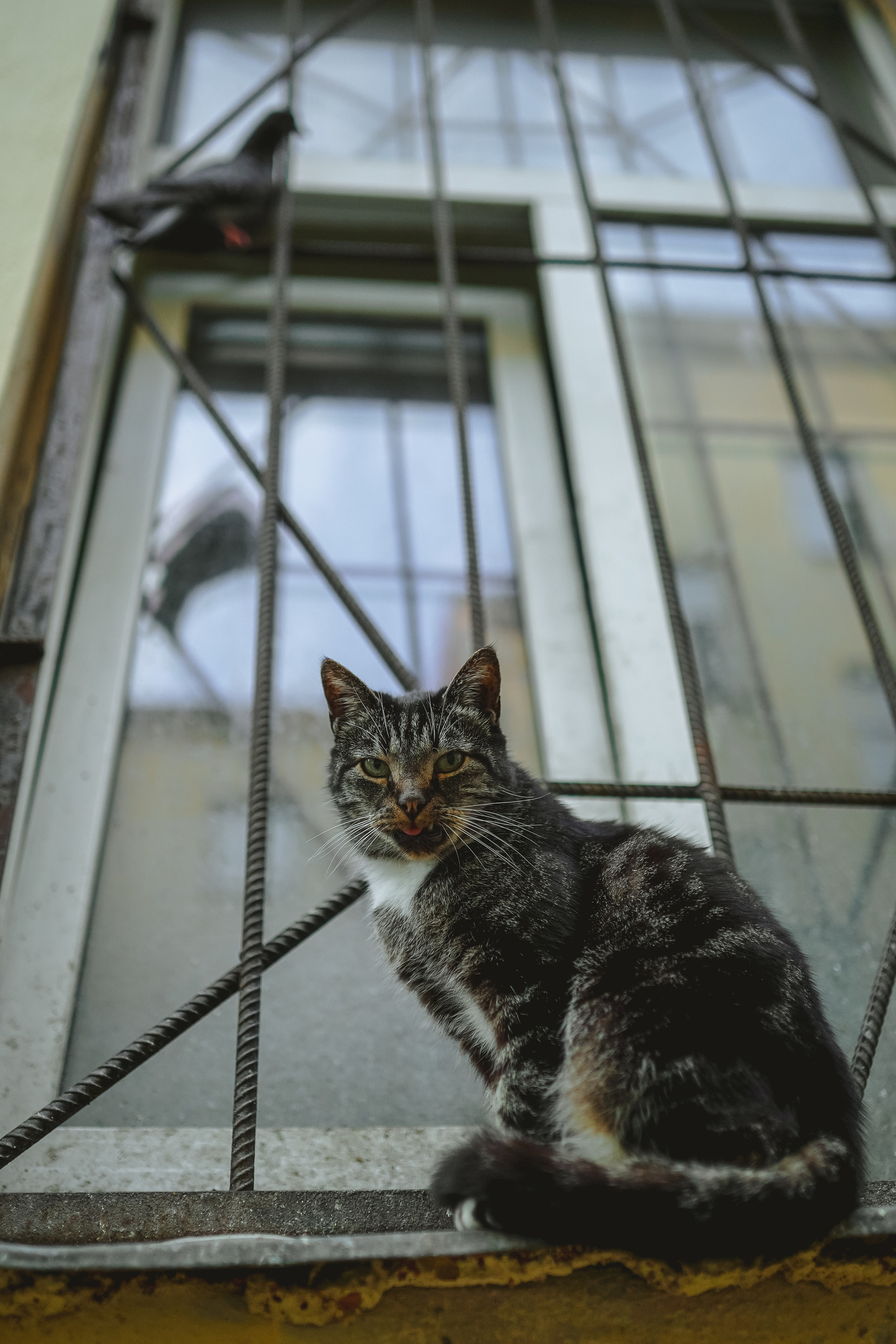 2020. Стрит-фотография, полная абсурда, идиотизма и красоты