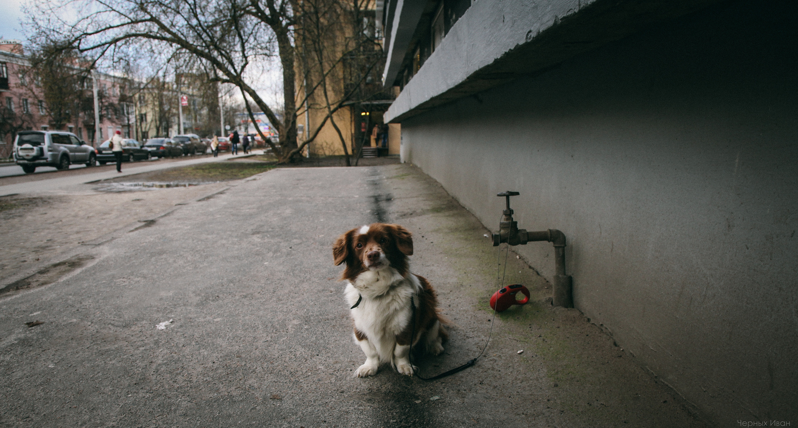 2016. Стрит-фотография, полная абсурда, идиотизма и красоты
