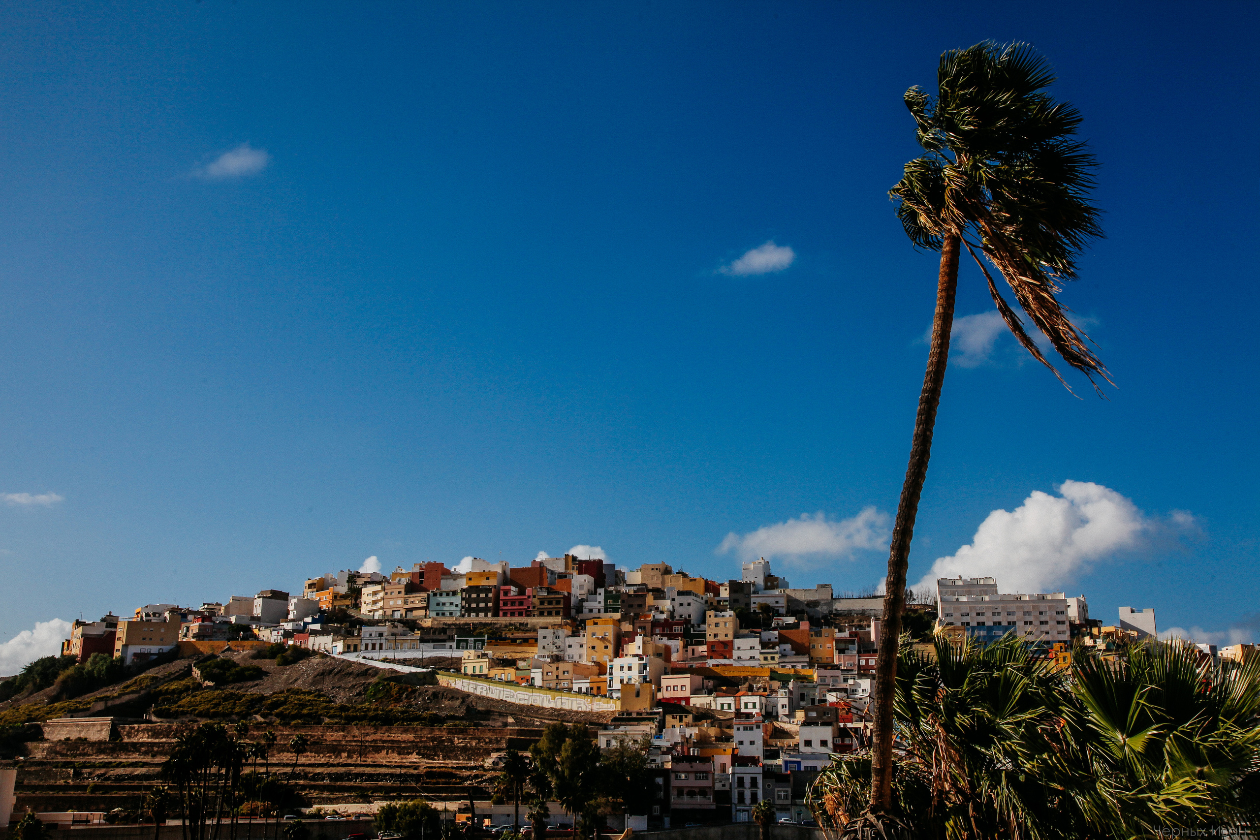 ИСПАНИЯ. Стрит-фотография, полная абсурда, идиотизма и красоты