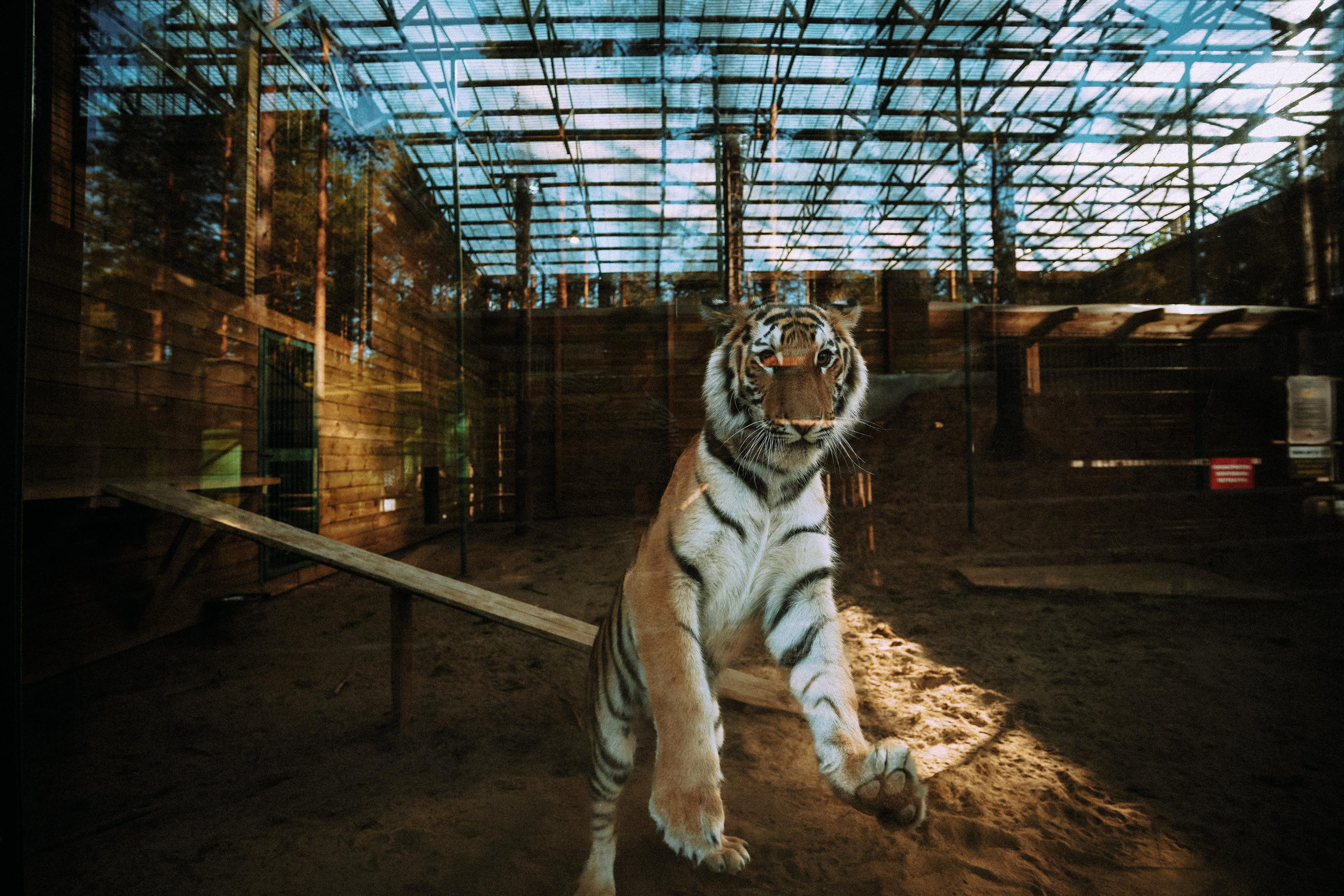 2022. Стрит-фотография, полная абсурда, идиотизма и красоты