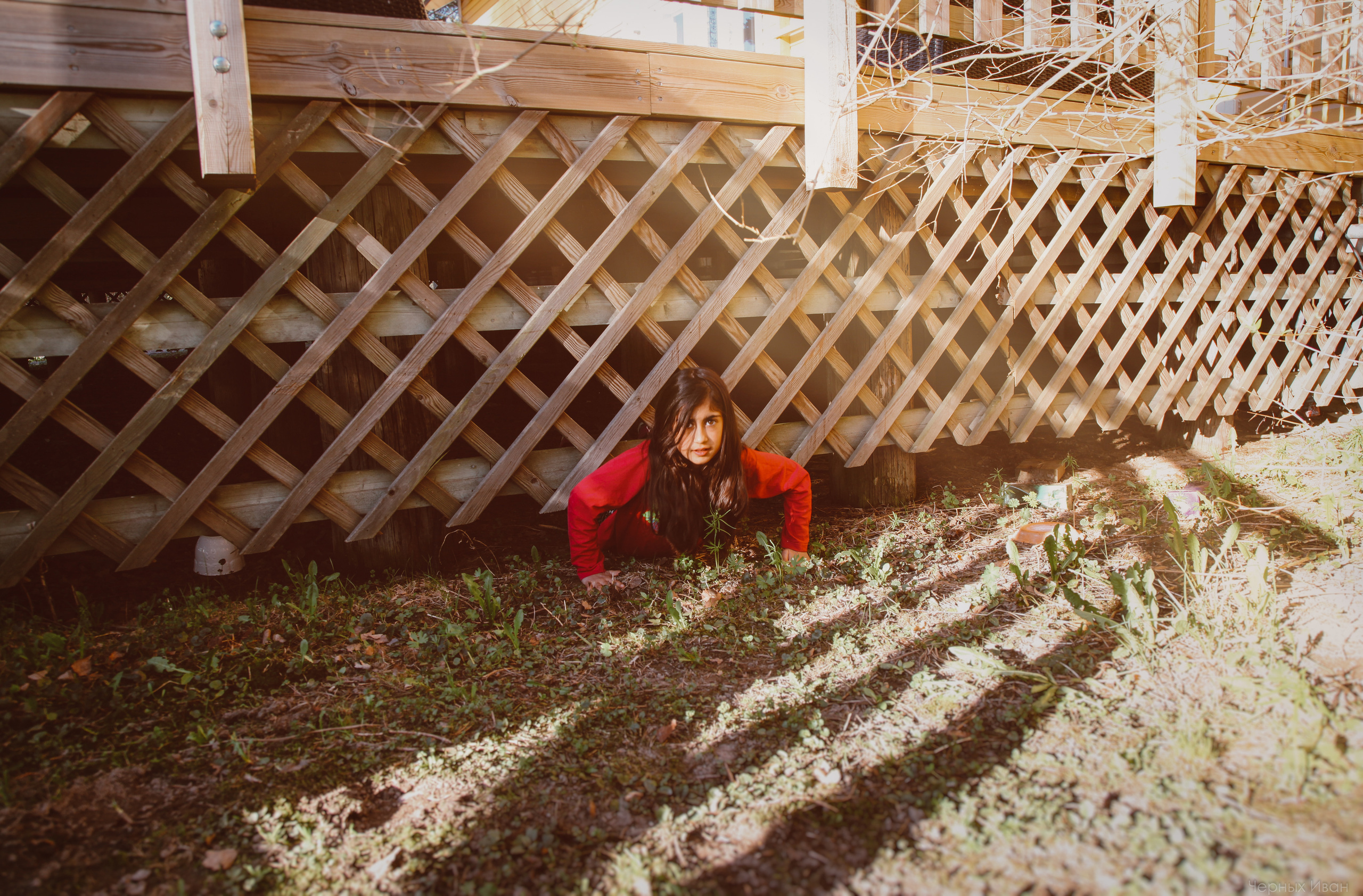 2016. Стрит-фотография, полная абсурда, идиотизма и красоты