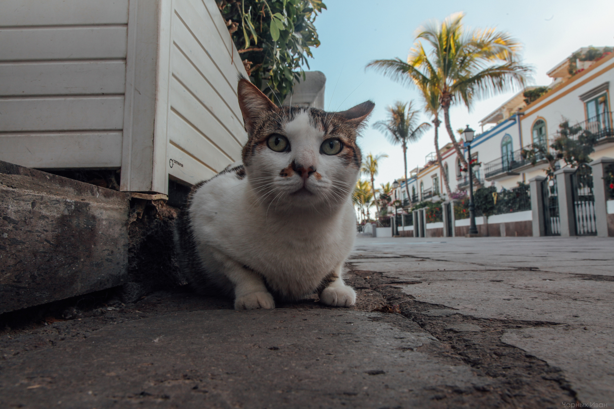ИСПАНИЯ. Стрит-фотография, полная абсурда, идиотизма и красоты