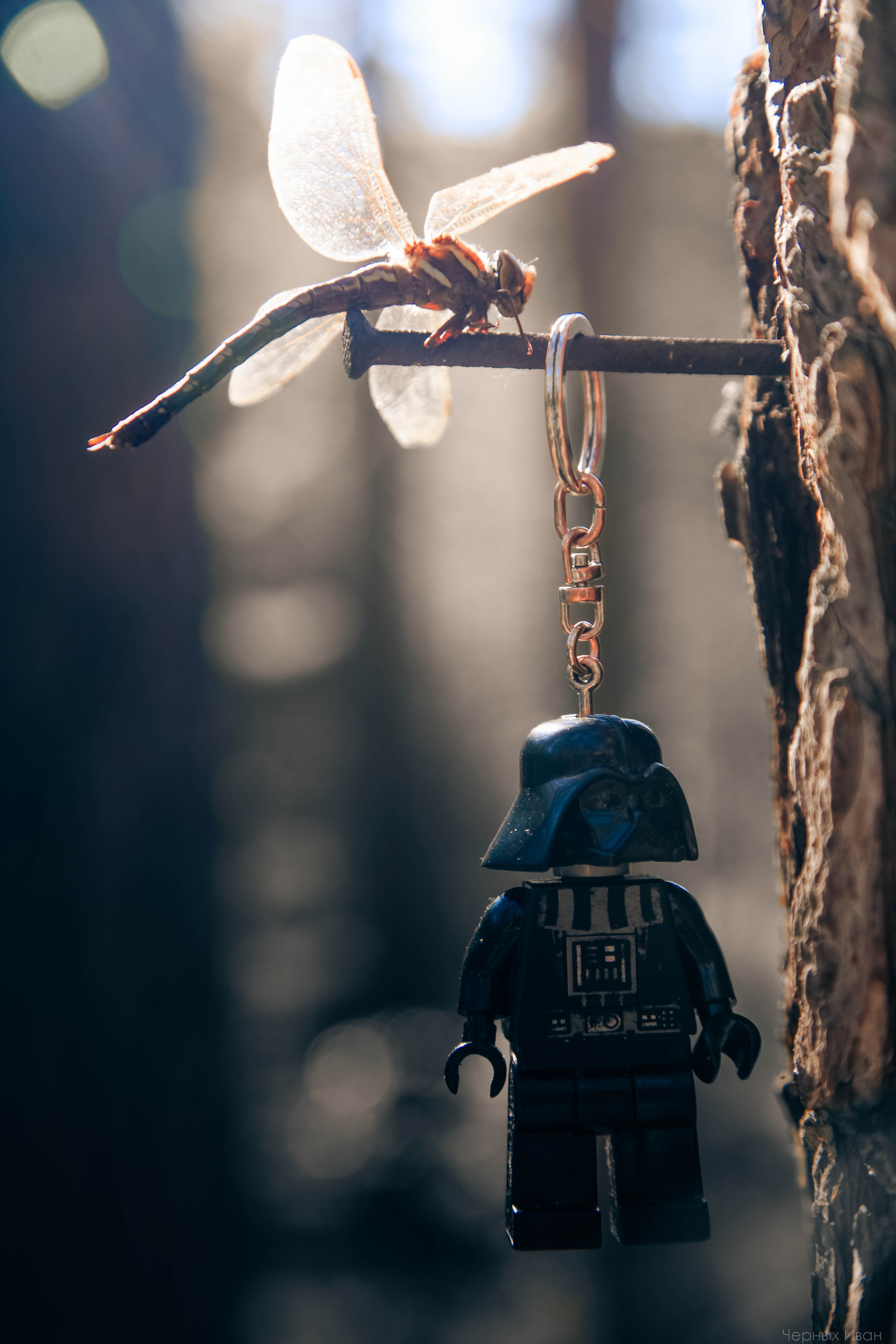 2015. Стрит-фотография, полная абсурда, идиотизма и красоты