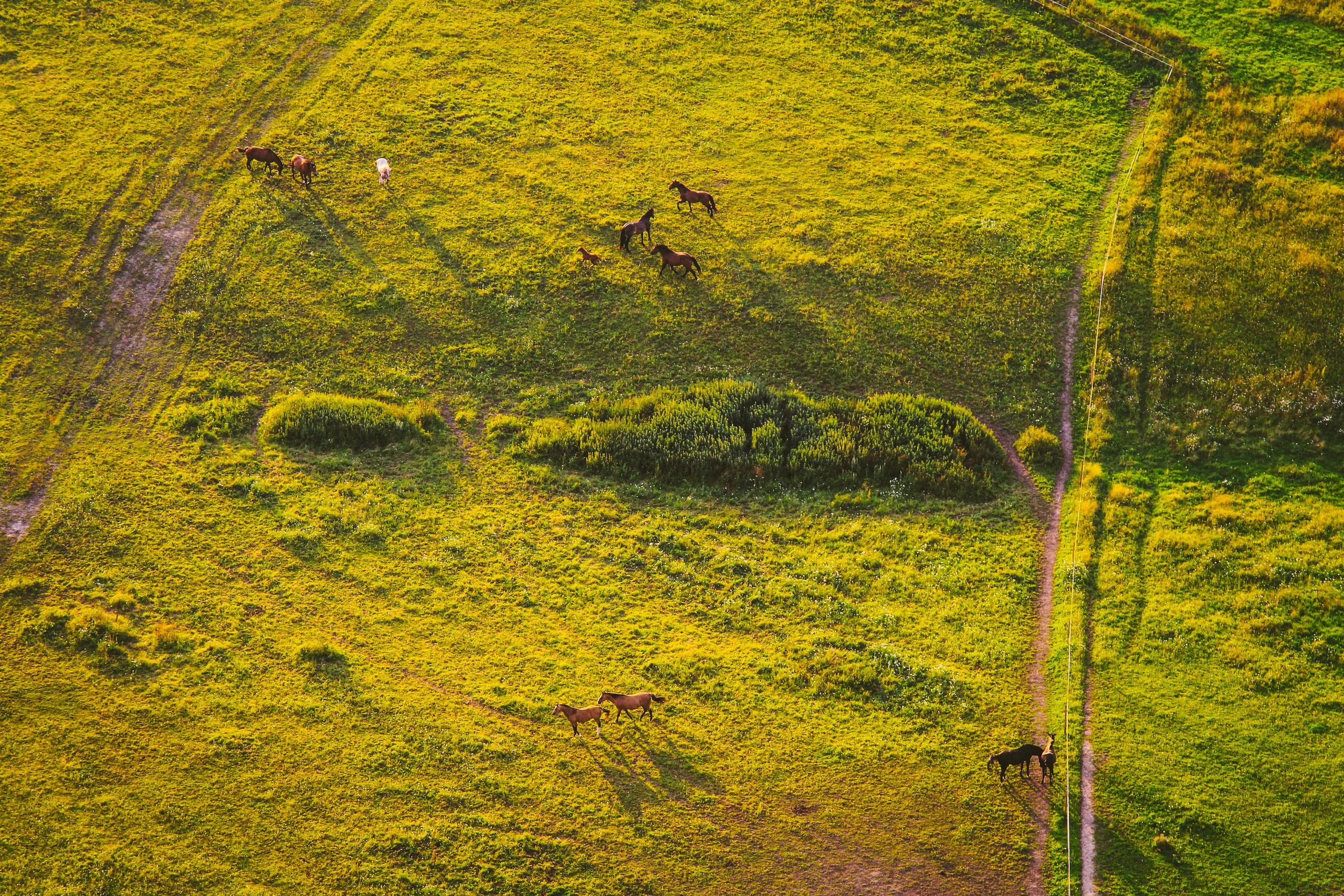 2017. Стрит-фотография, полная абсурда, идиотизма и красоты