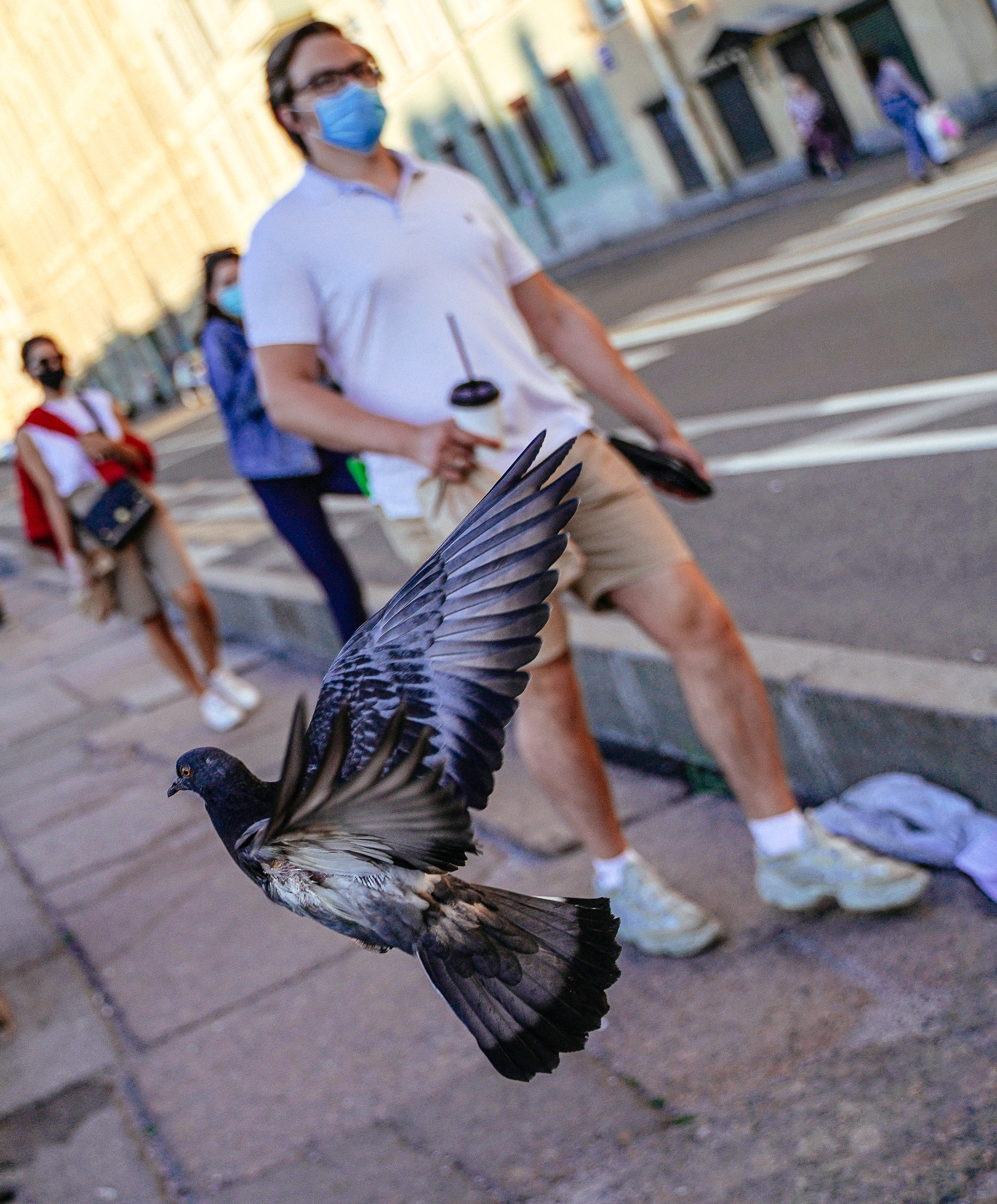 2020. Стрит-фотография, полная абсурда, идиотизма и красоты