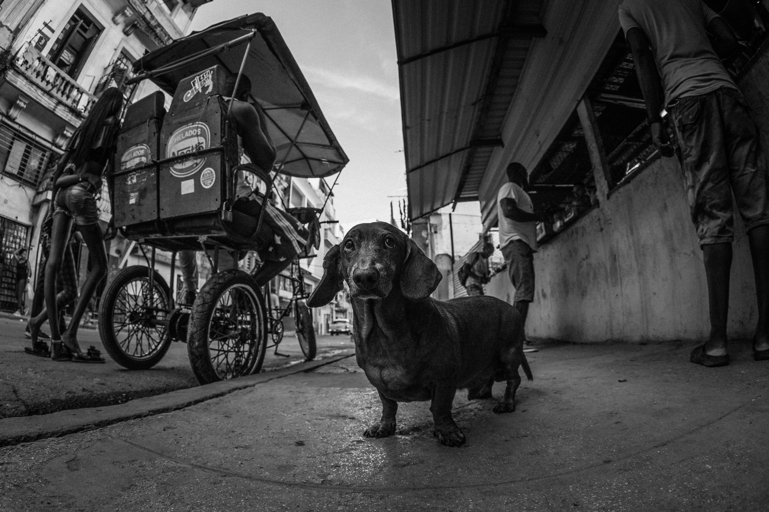 КУБА. Стрит-фотография, полная абсурда, идиотизма и красоты