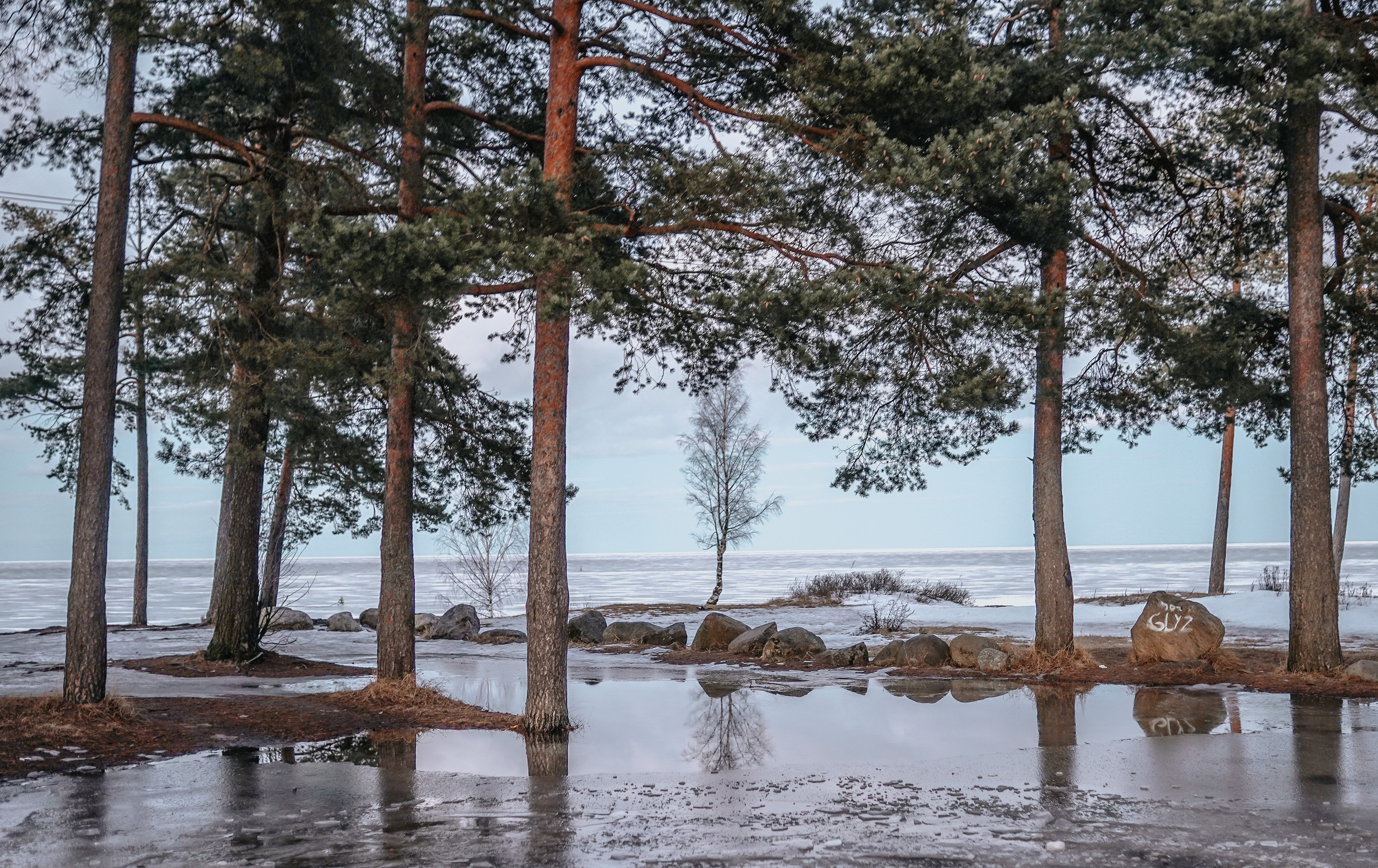 2021. Стрит-фотография, полная абсурда, идиотизма и красоты