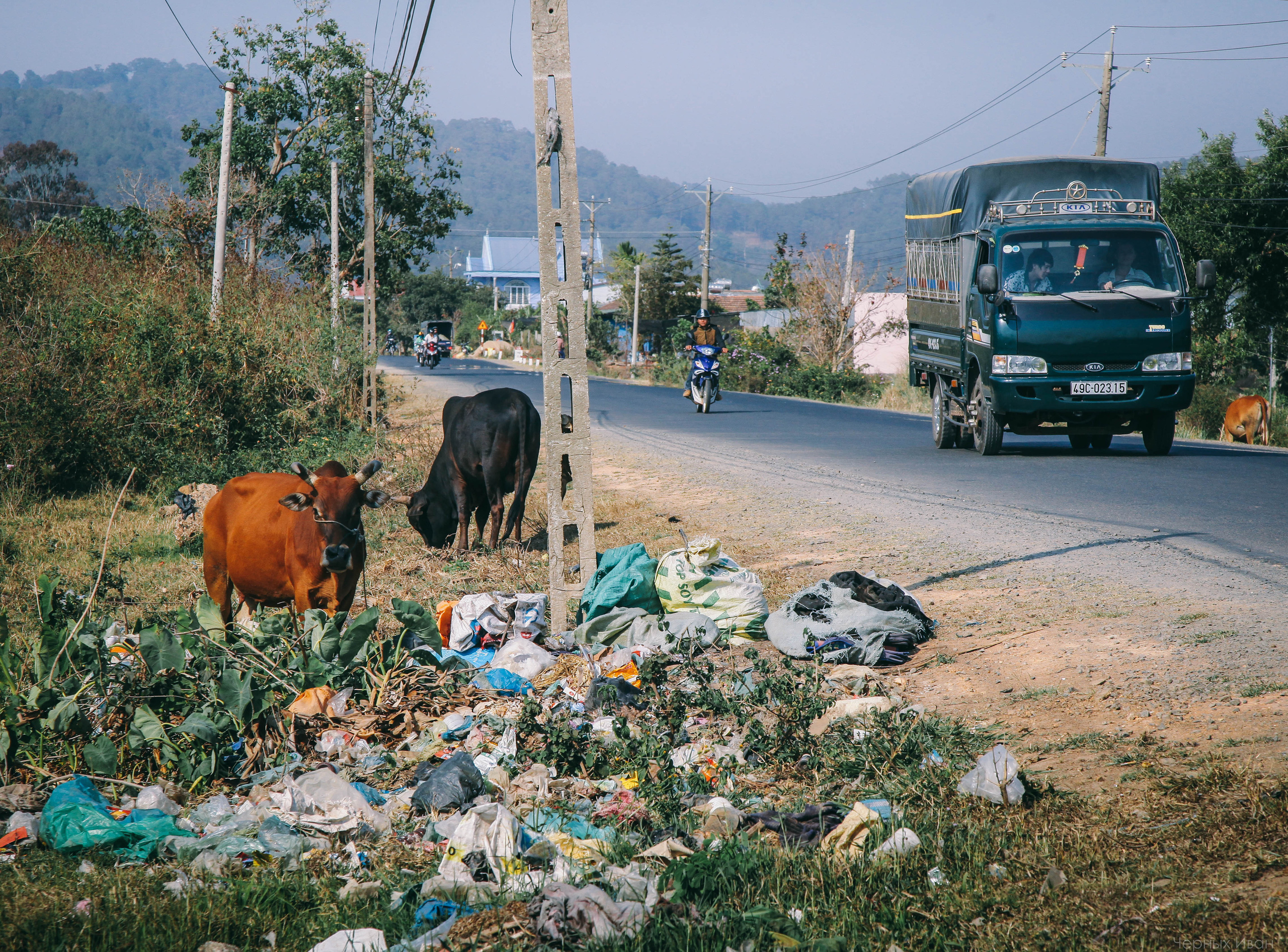 ВЬЕТНАМ. Стрит-фотография, полная абсурда, идиотизма и красоты
