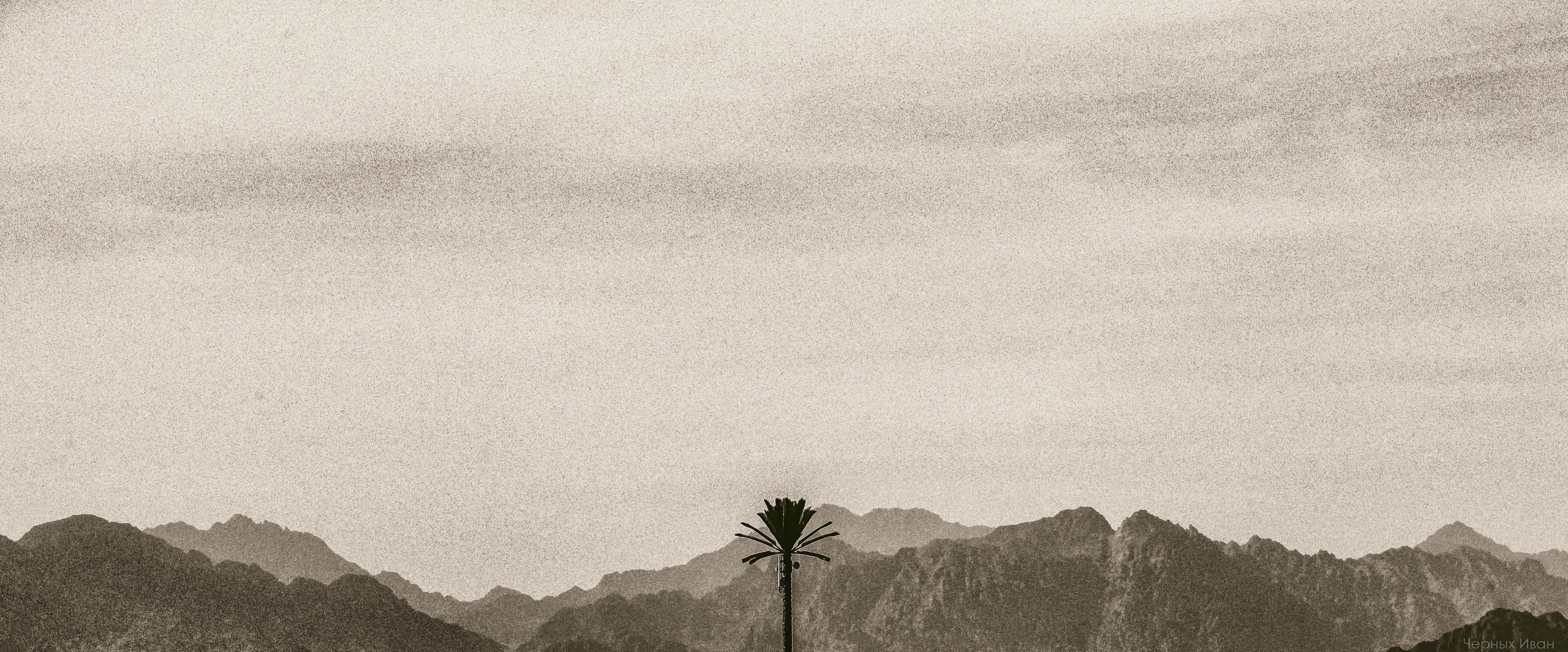 ЕГИПЕТ. Стрит-фотография, полная абсурда, идиотизма и красоты