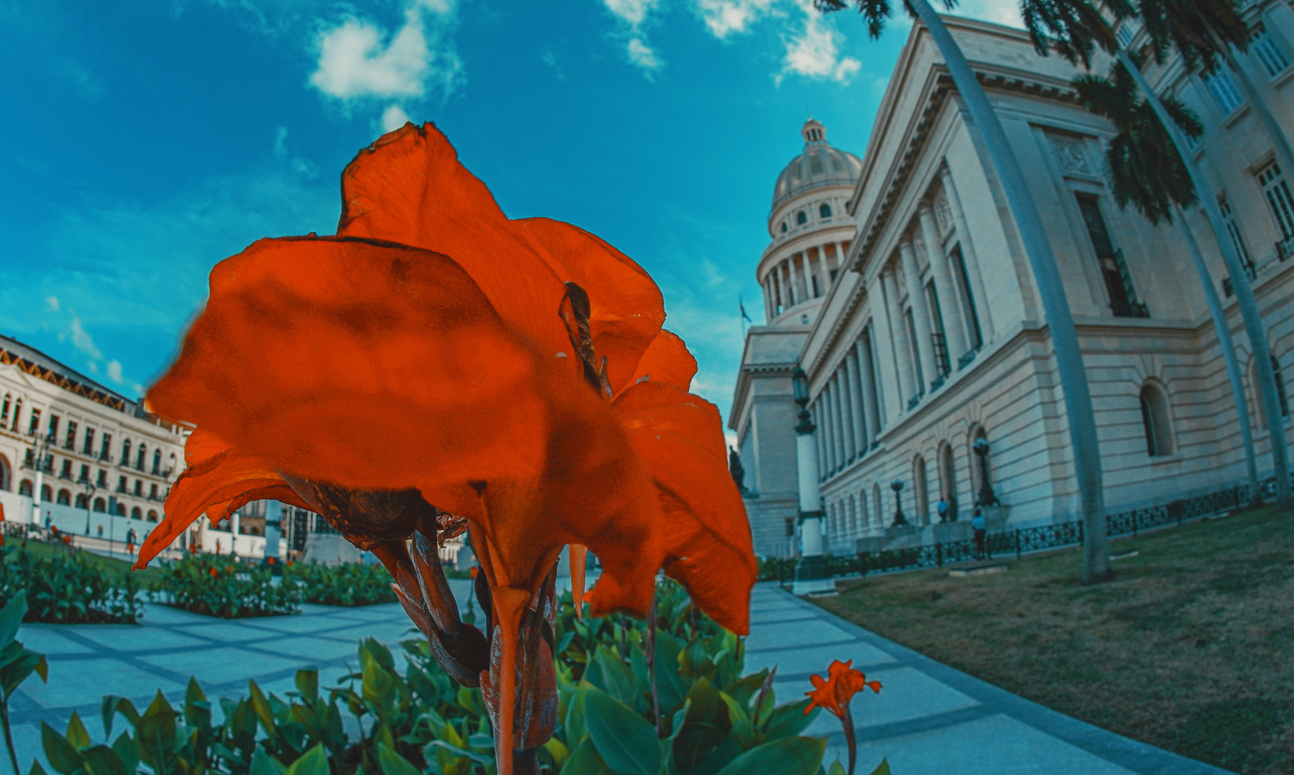 КУБА. Стрит-фотография, полная абсурда, идиотизма и красоты