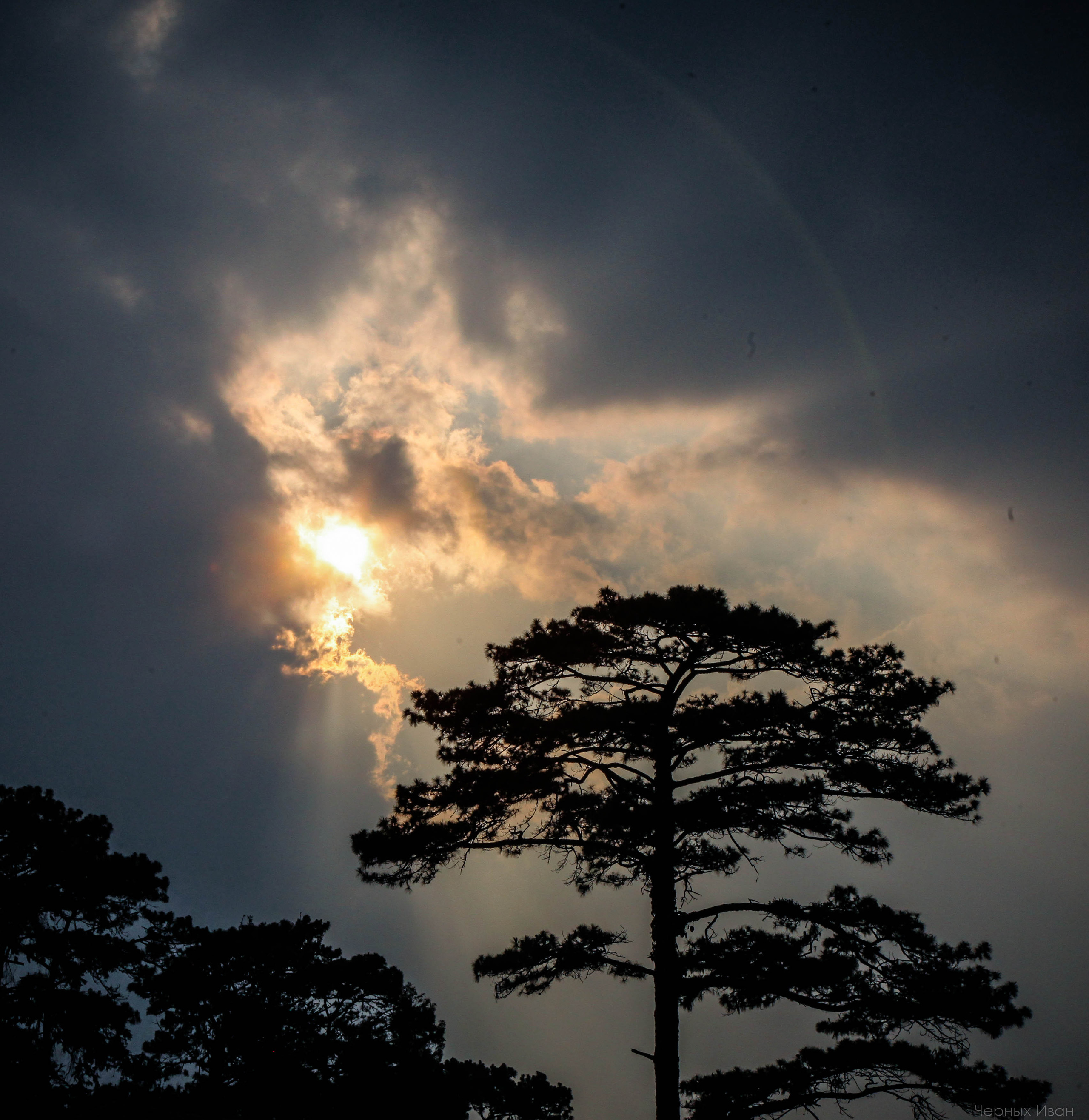 ВЬЕТНАМ. Стрит-фотография, полная абсурда, идиотизма и красоты