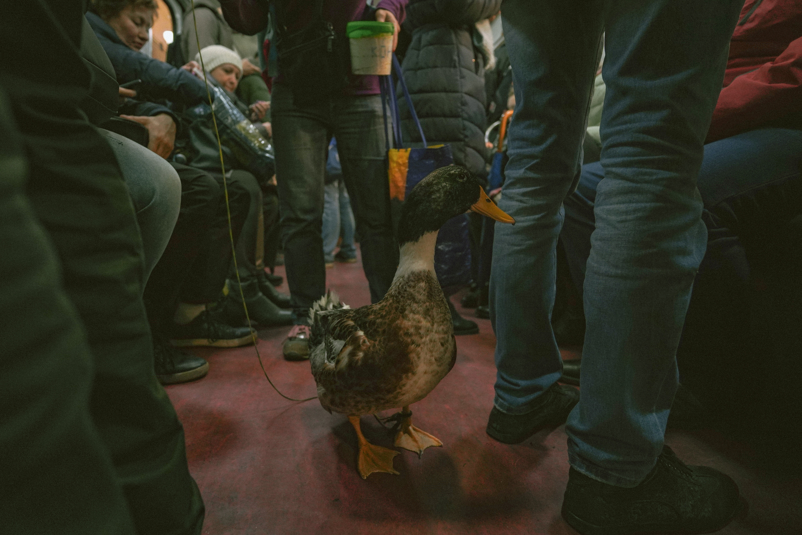 2020. Стрит-фотография, полная абсурда, идиотизма и красоты