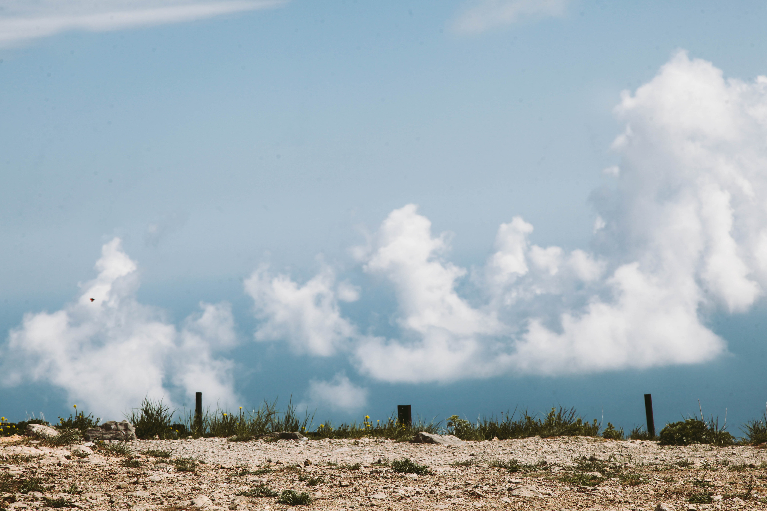 ПЕЙЗАЖИ. Стрит-фотография, полная абсурда, идиотизма и красоты