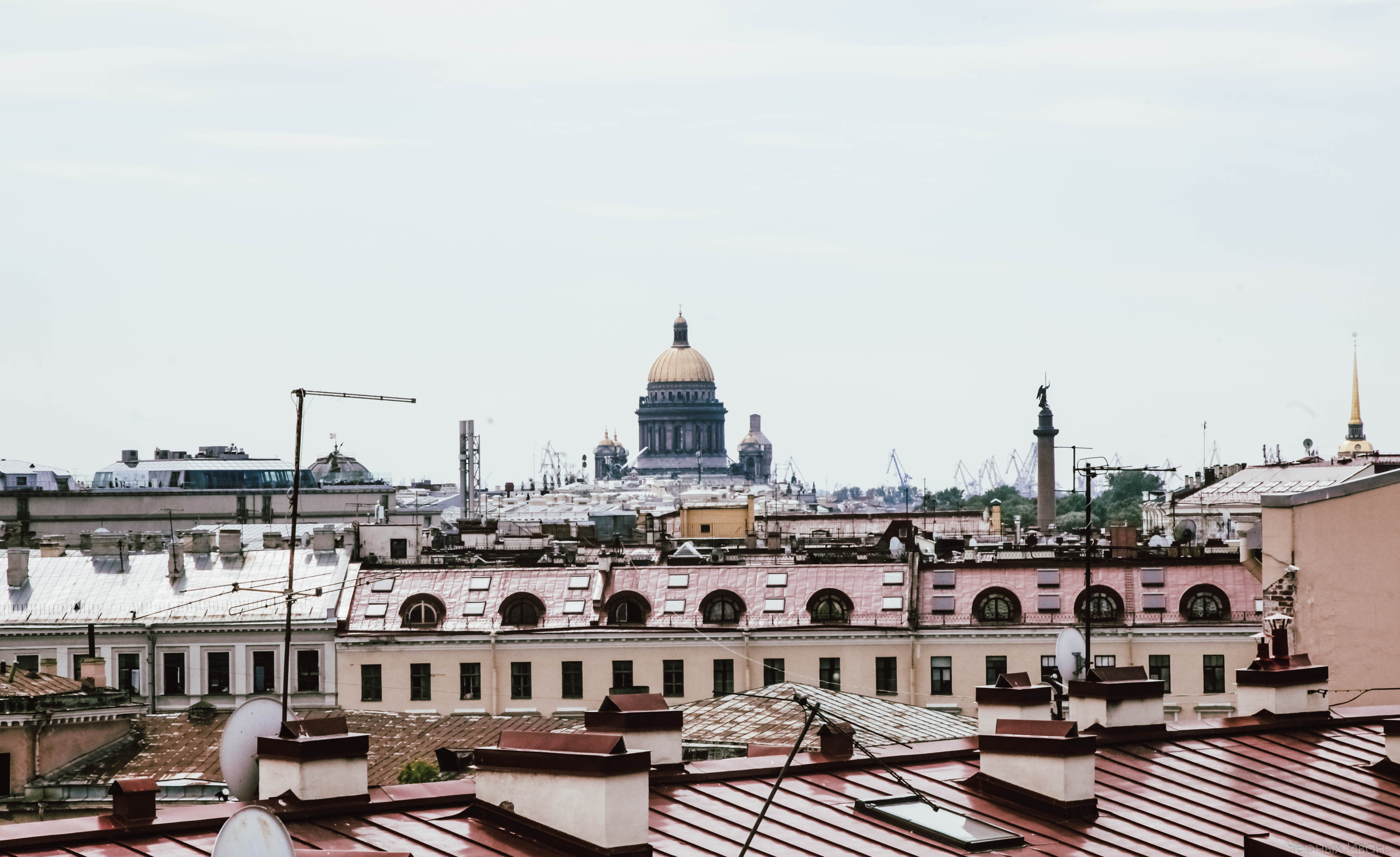 2015. Стрит-фотография, полная абсурда, идиотизма и красоты
