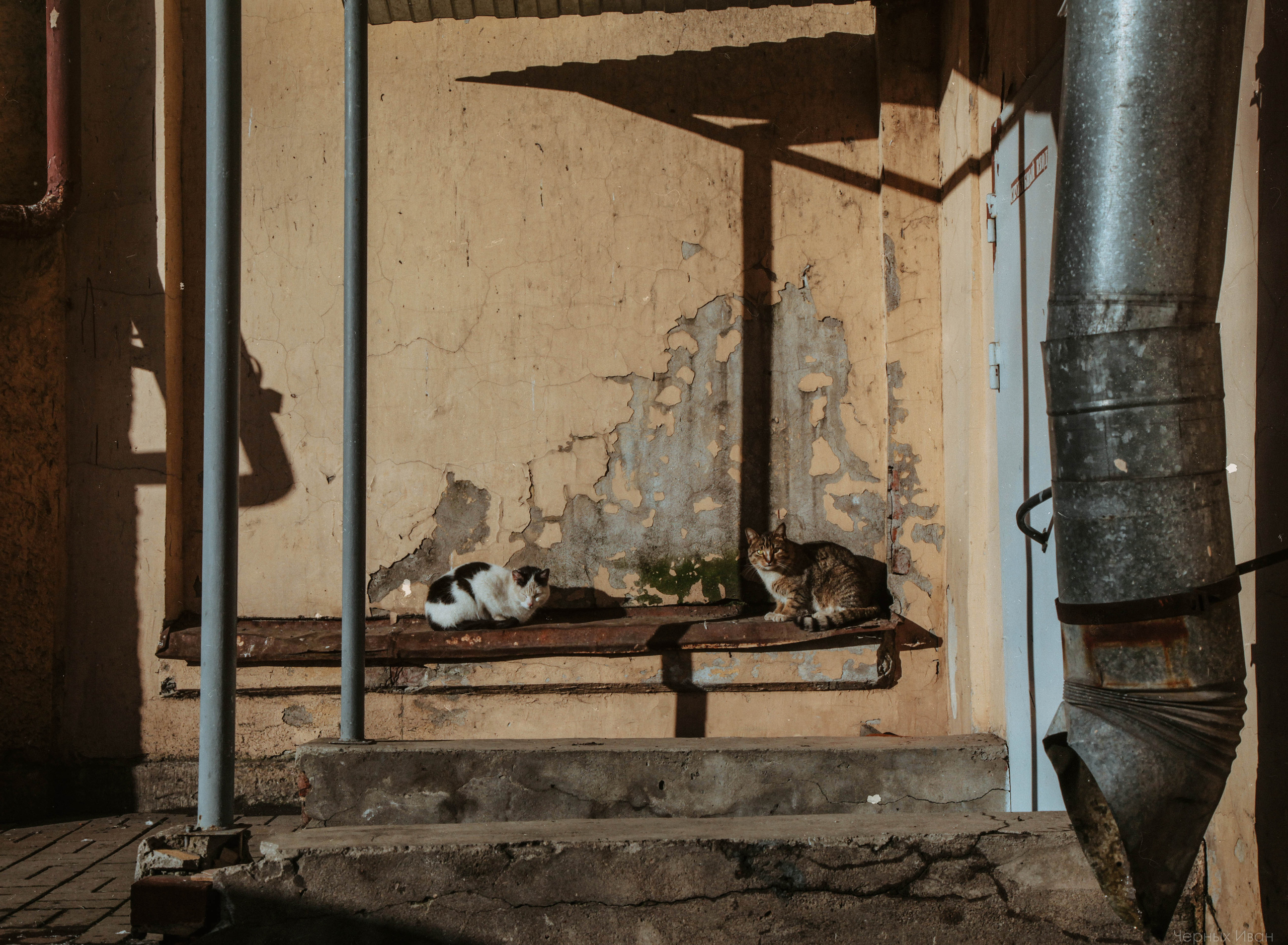 2015. Стрит-фотография, полная абсурда, идиотизма и красоты