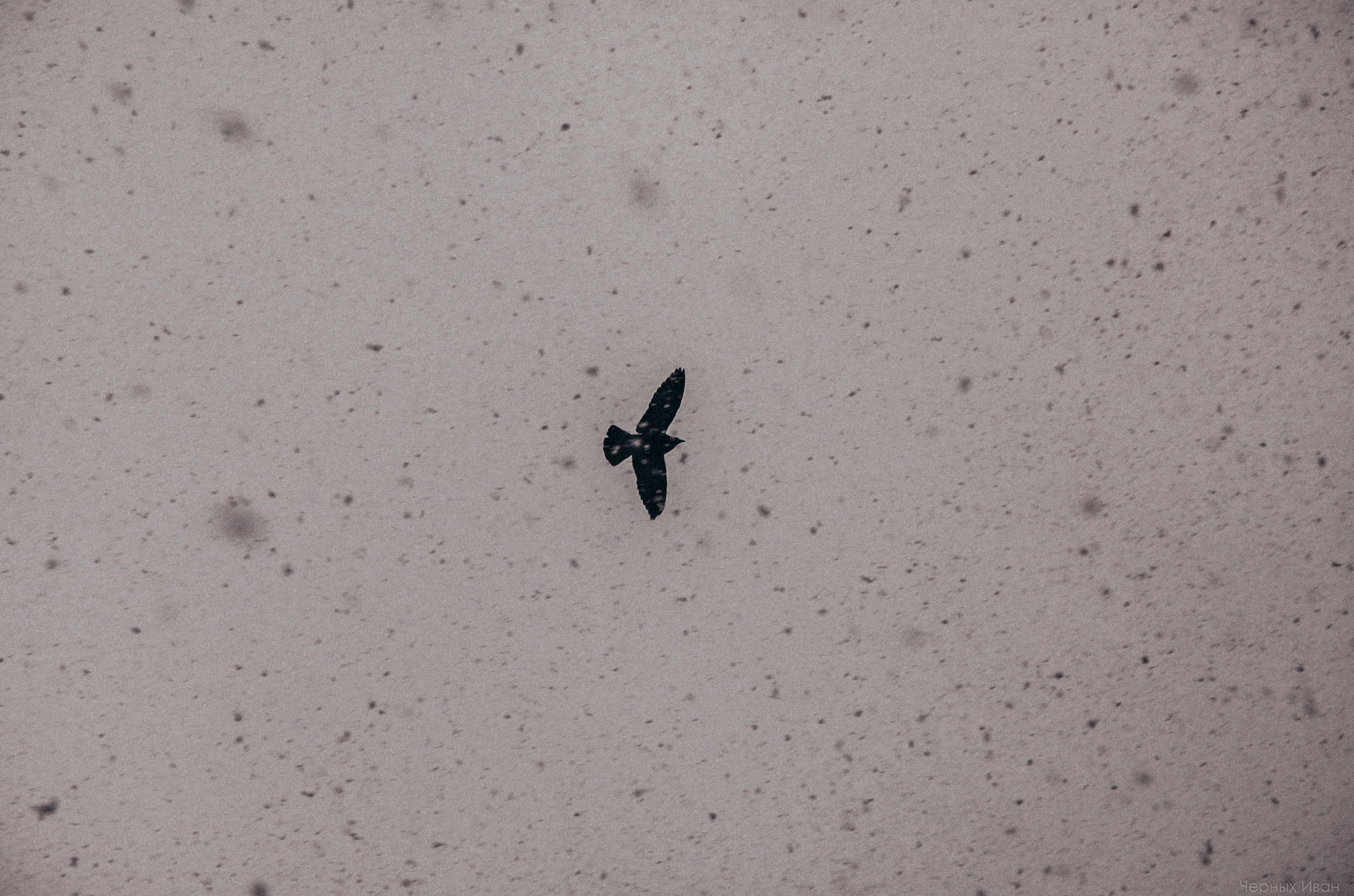 BEST OF. Стрит-фотография, полная абсурда, идиотизма и красоты