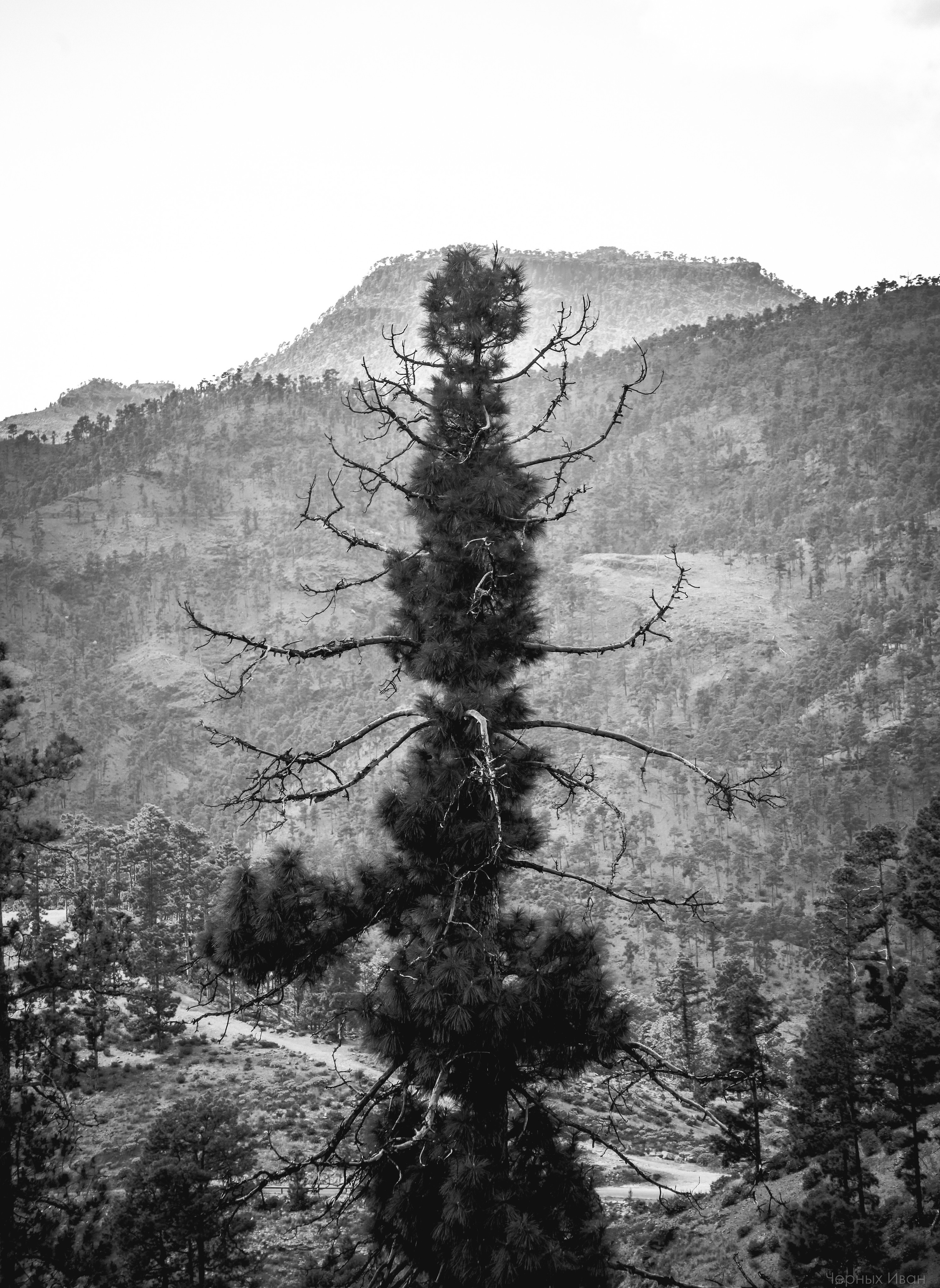 ИСПАНИЯ. Стрит-фотография, полная абсурда, идиотизма и красоты