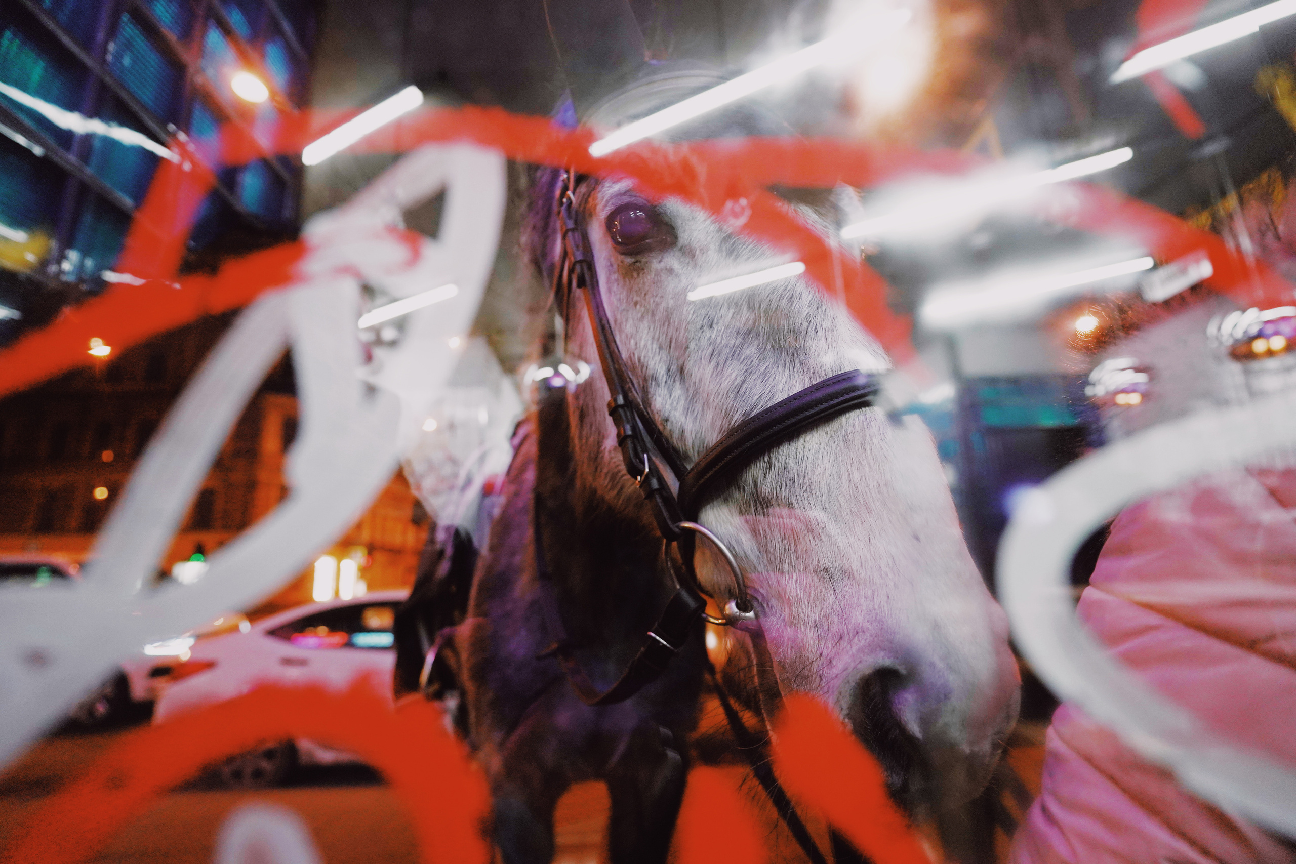 2020. Стрит-фотография, полная абсурда, идиотизма и красоты