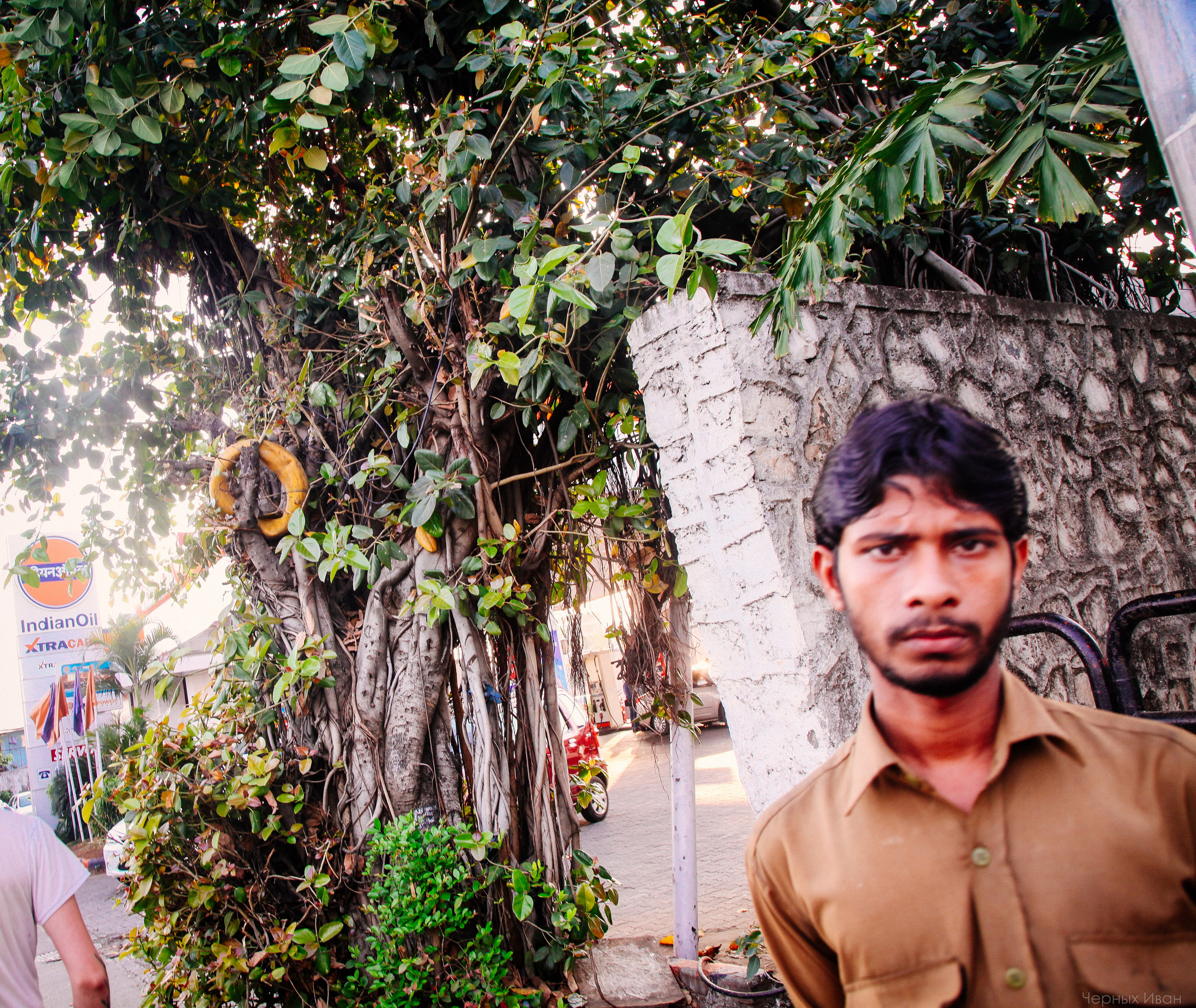 ИНДИЯ 2015. Стрит-фотография, полная абсурда, идиотизма и красоты