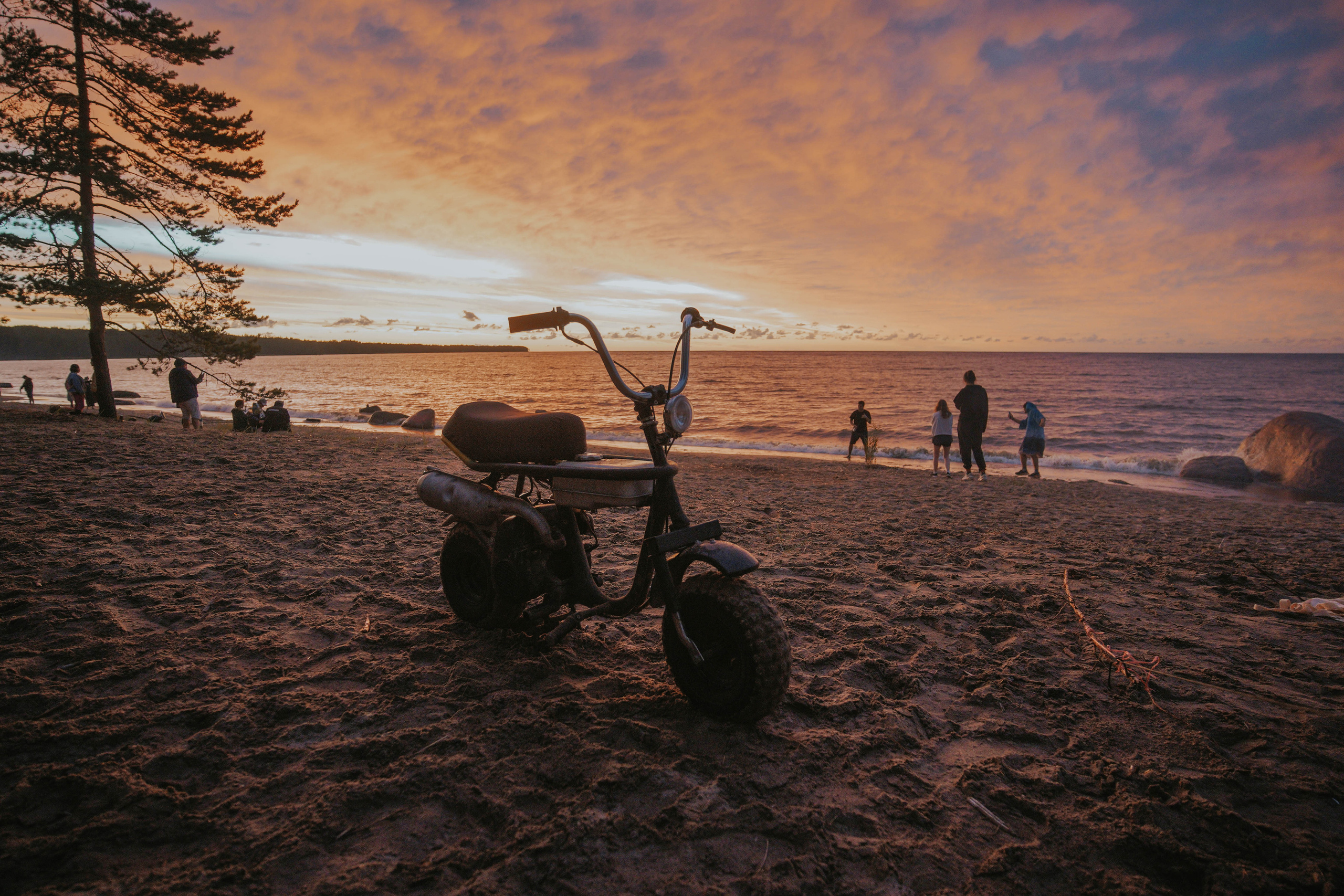 2022. Стрит-фотография, полная абсурда, идиотизма и красоты