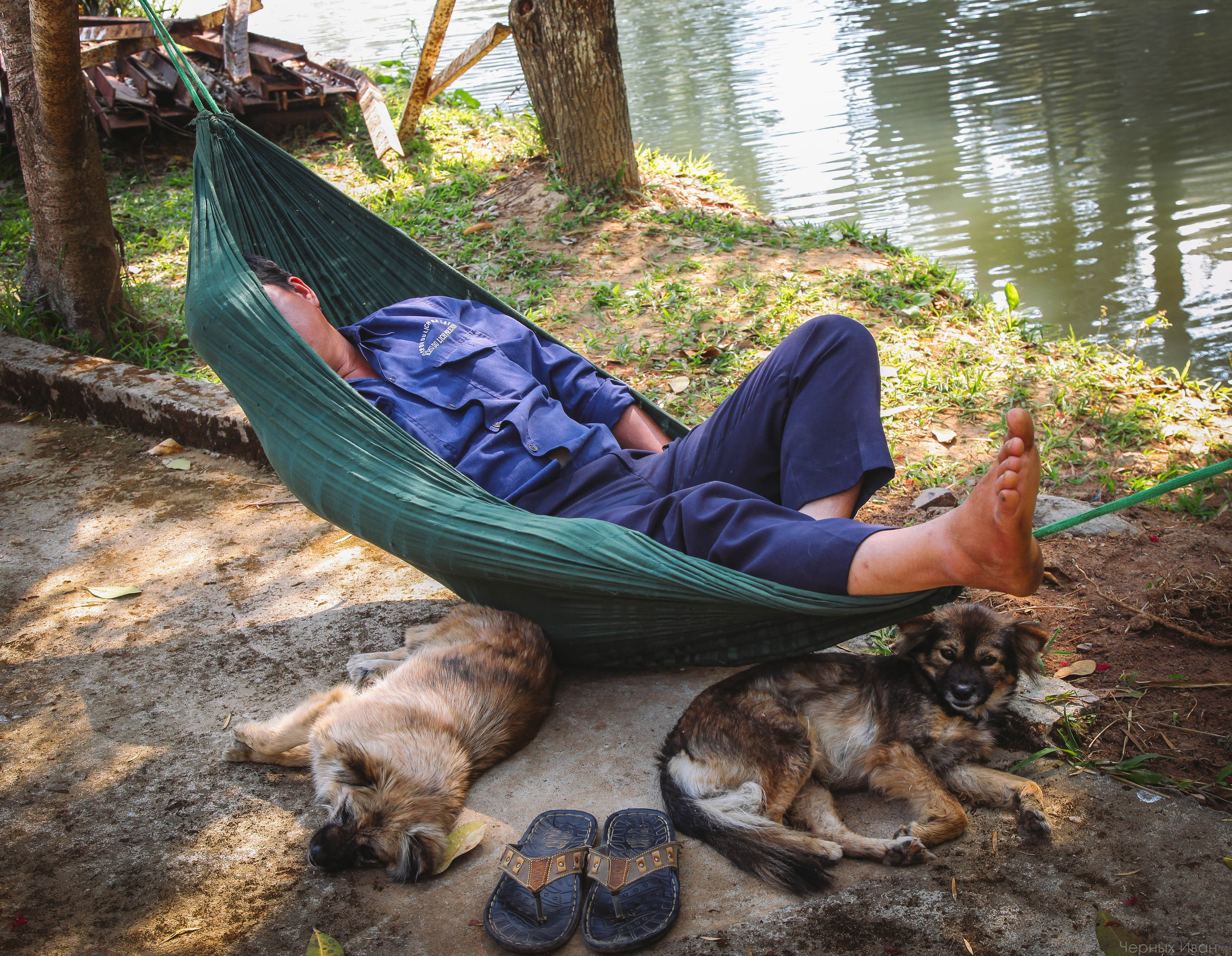 ВЬЕТНАМ. Стрит-фотография, полная абсурда, идиотизма и красоты