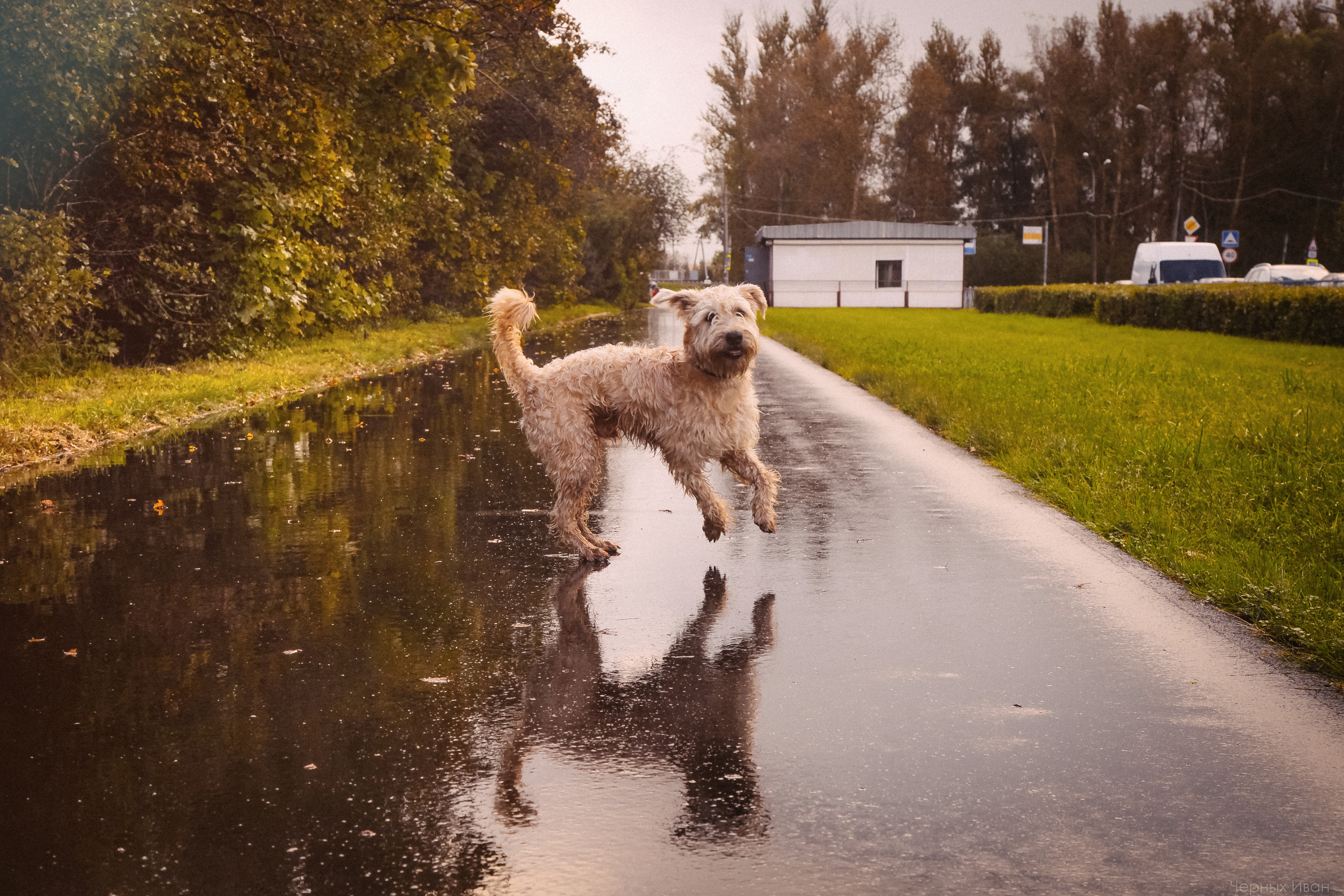2016. Стрит-фотография, полная абсурда, идиотизма и красоты