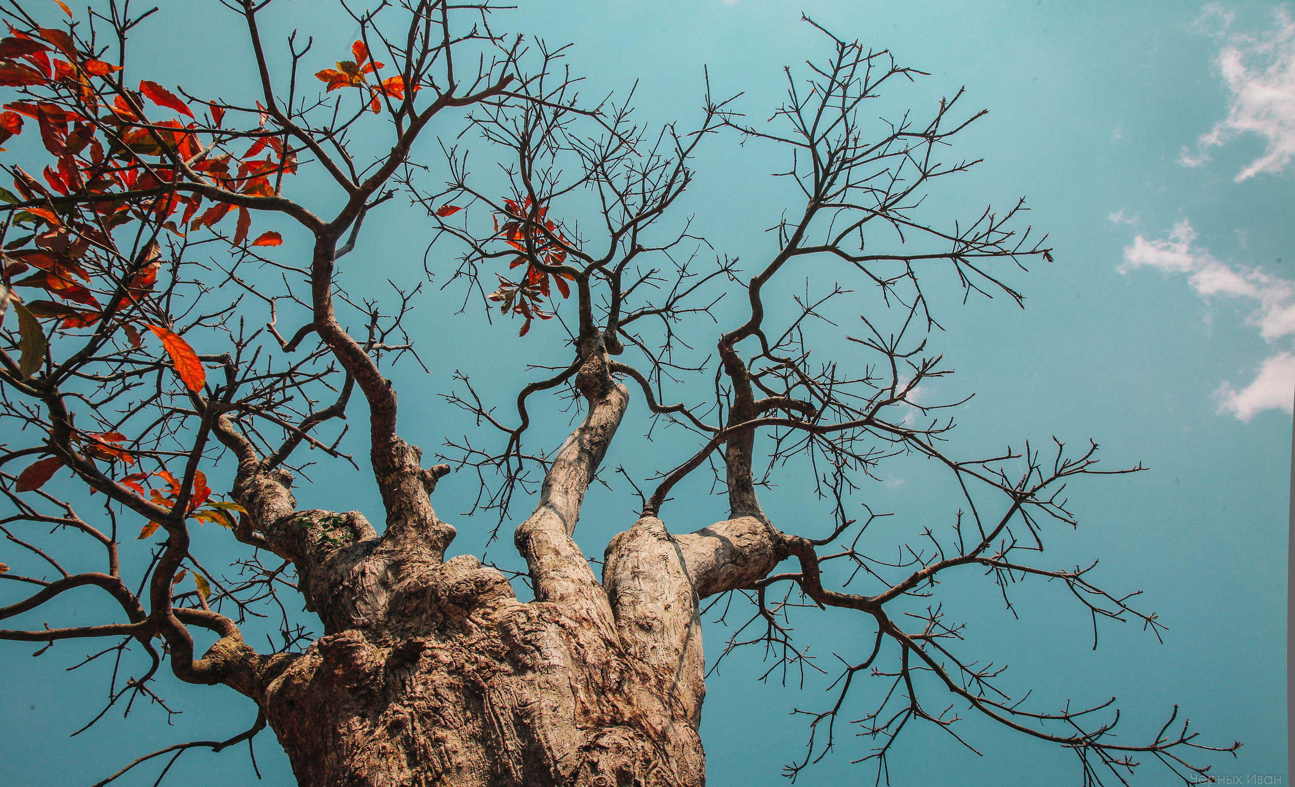 ВЬЕТНАМ. Стрит-фотография, полная абсурда, идиотизма и красоты