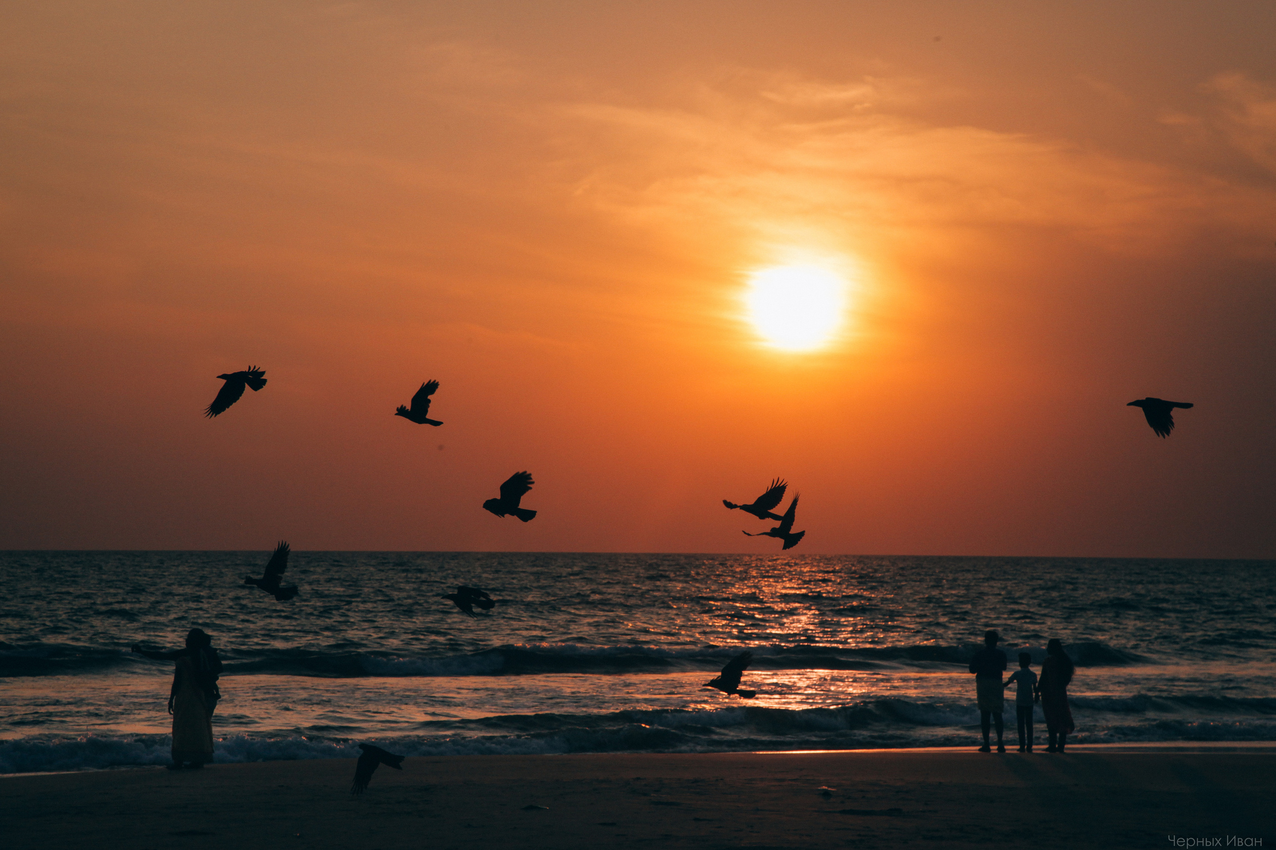 ИНДИЯ 2015. Стрит-фотография, полная абсурда, идиотизма и красоты