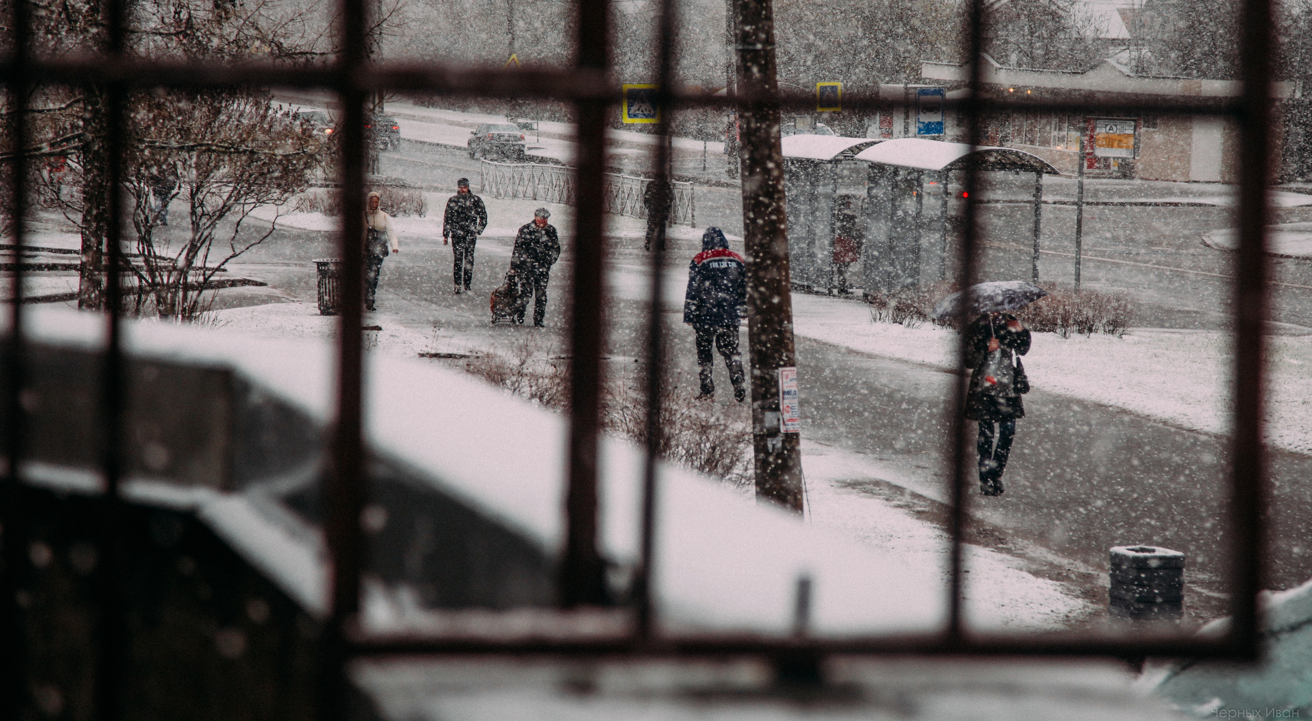 2016. Стрит-фотография, полная абсурда, идиотизма и красоты