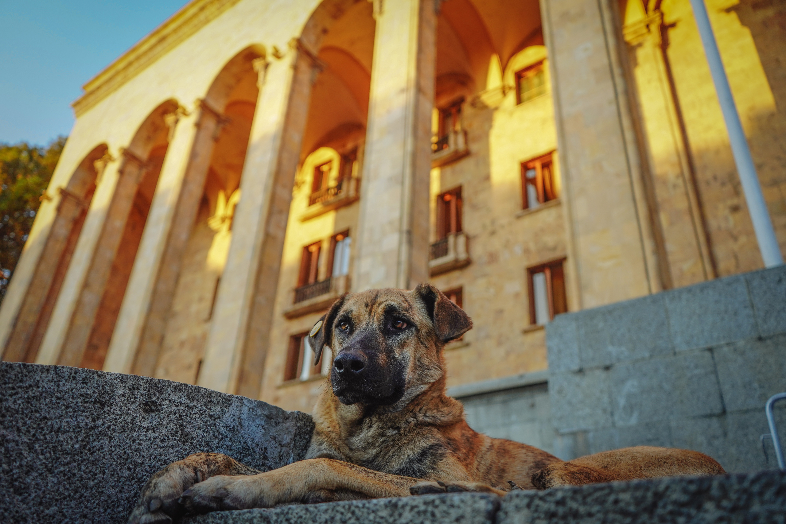 ГРУЗИЯ. Стрит-фотография, полная абсурда, идиотизма и красоты