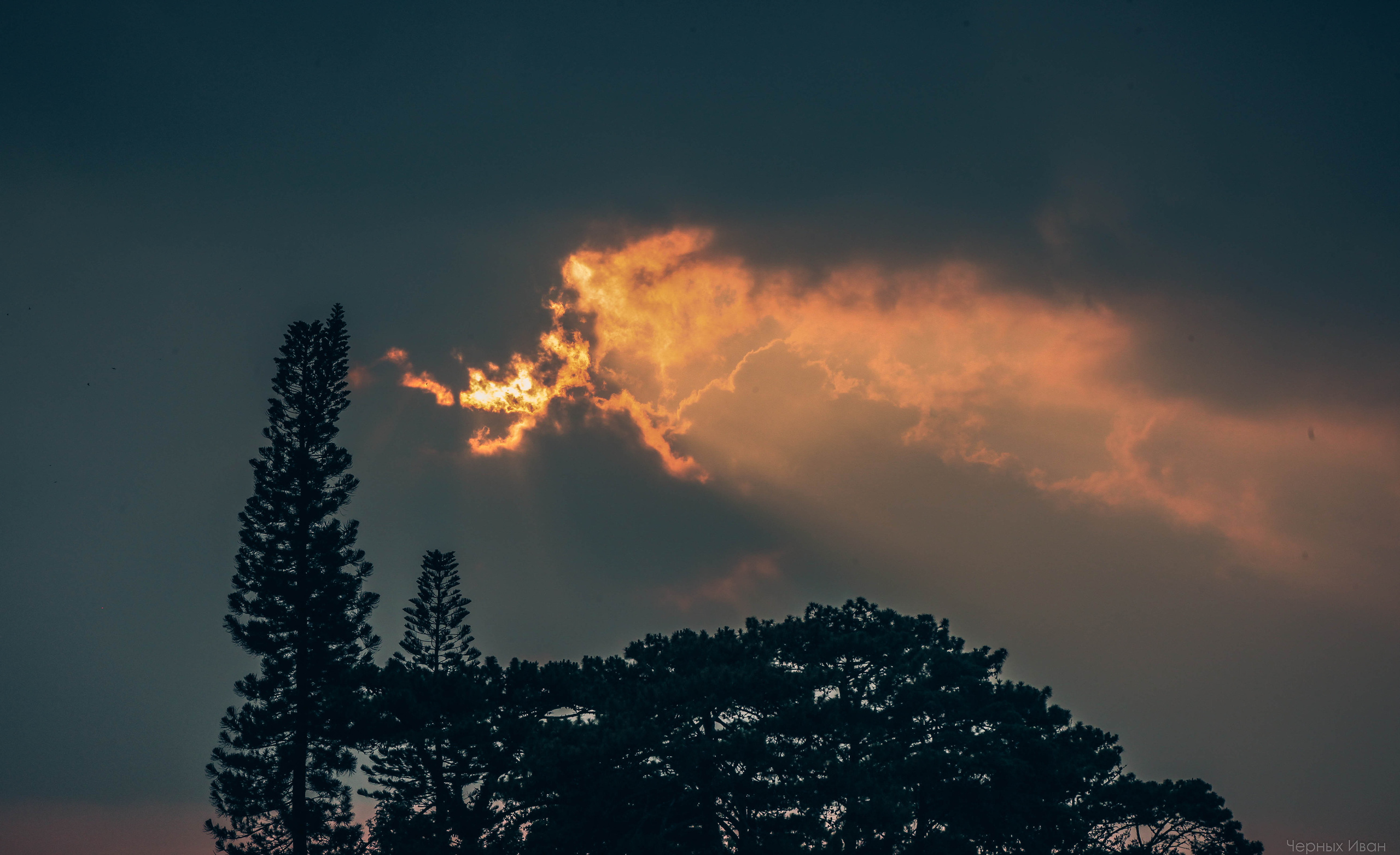 ПЕЙЗАЖИ. Стрит-фотография, полная абсурда, идиотизма и красоты